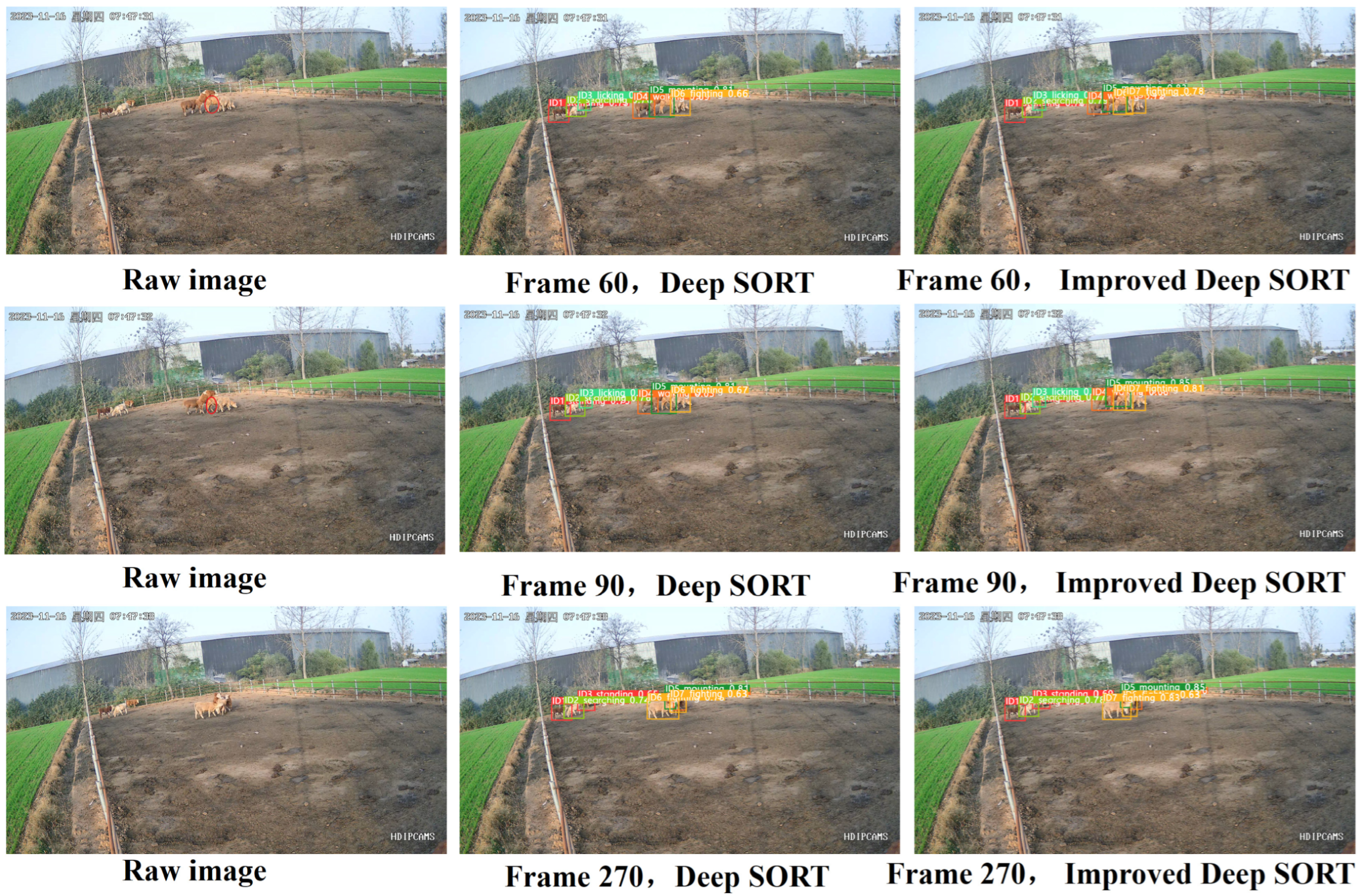 Animals 14 02464 g017