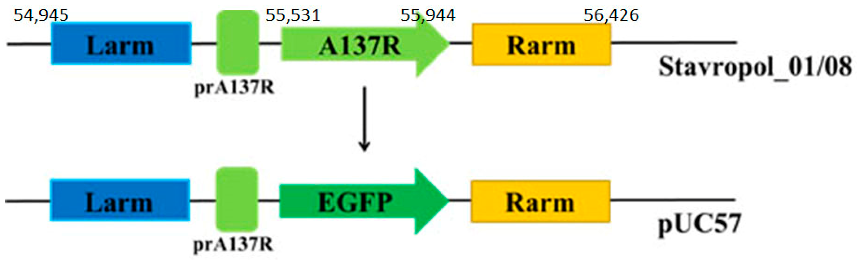 Animals 14 02469 g001