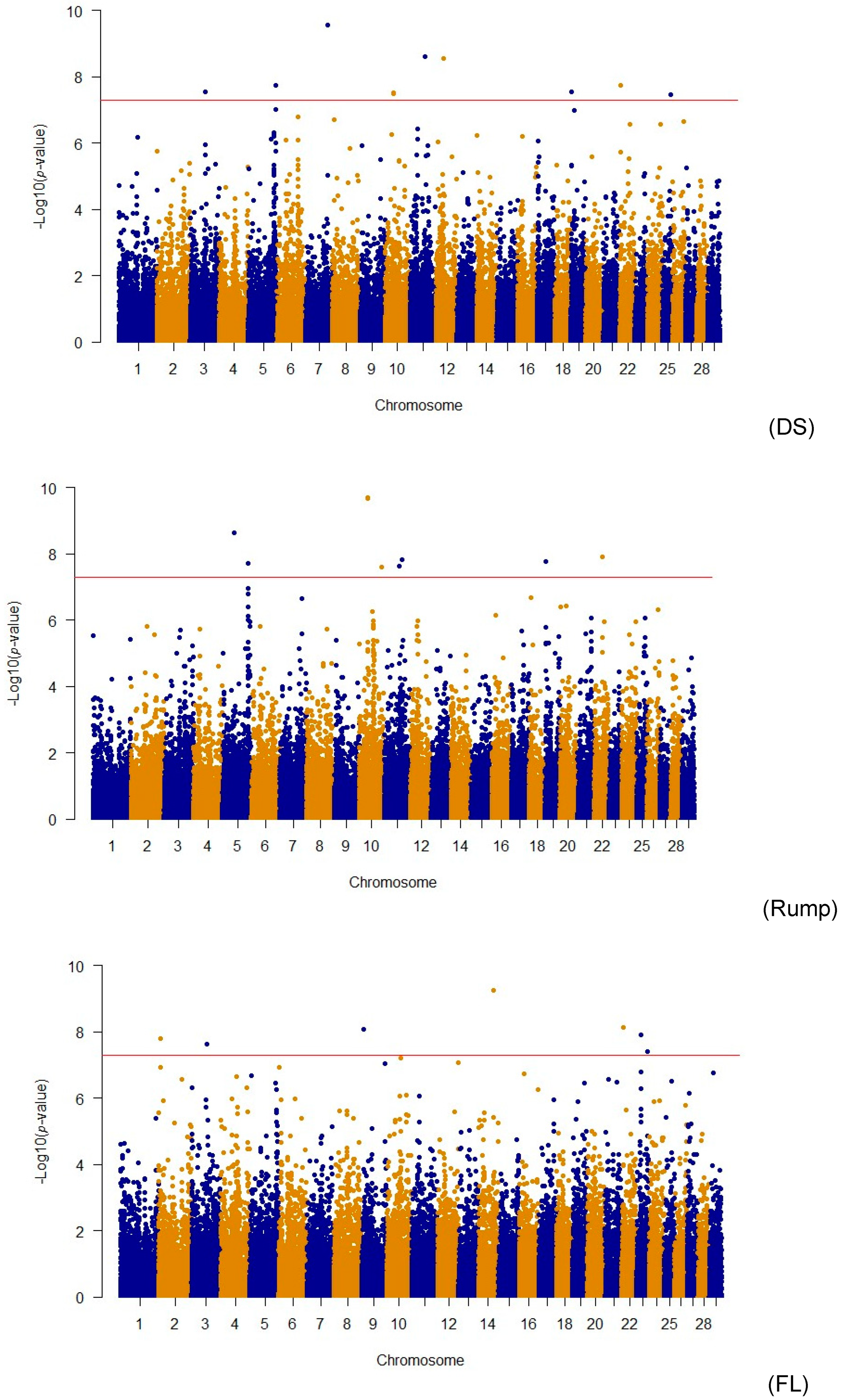 Animals 14 02472 g001b Animals 14 02472 g001b