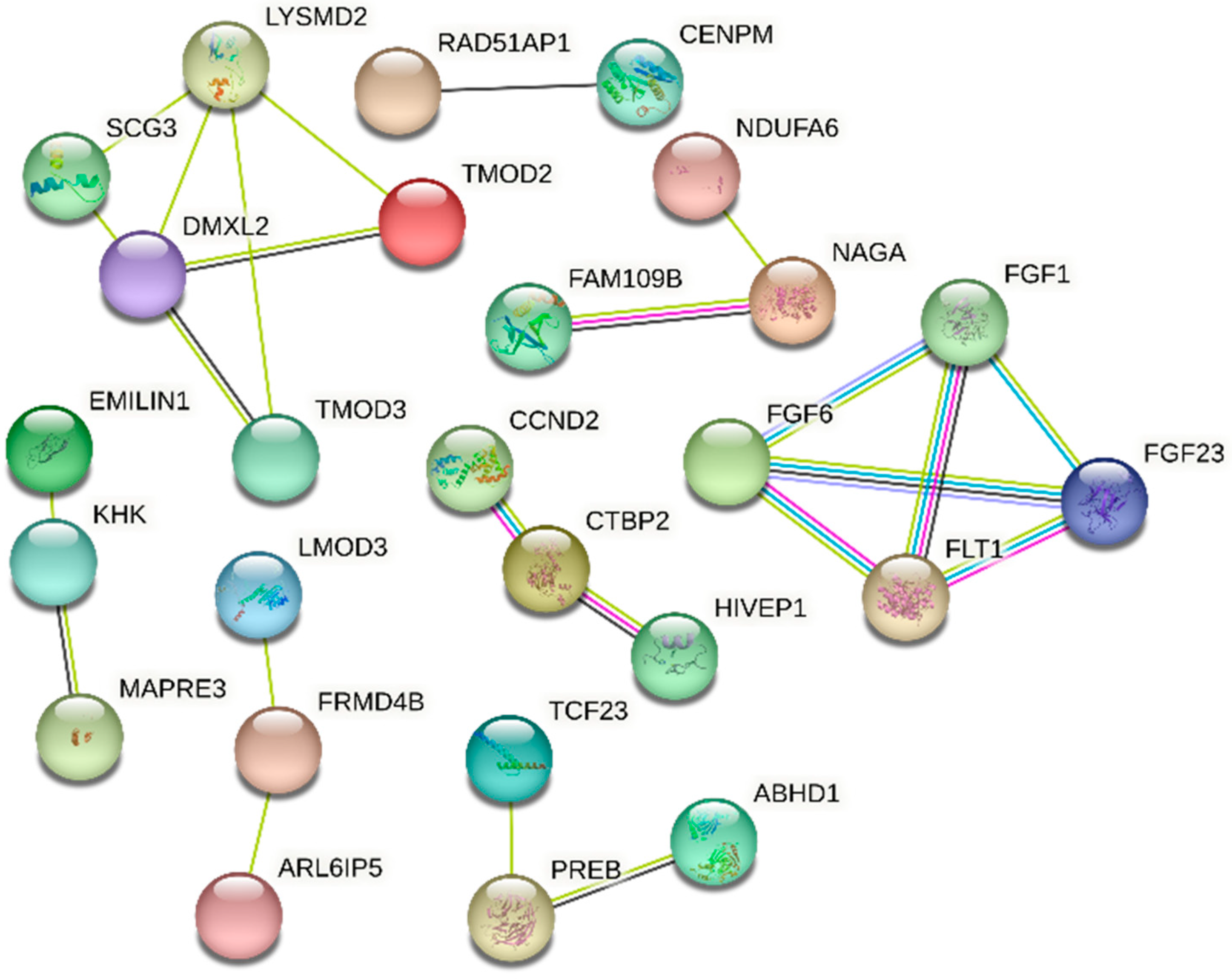 Animals 14 02472 g002 Animals 14 02472 g002