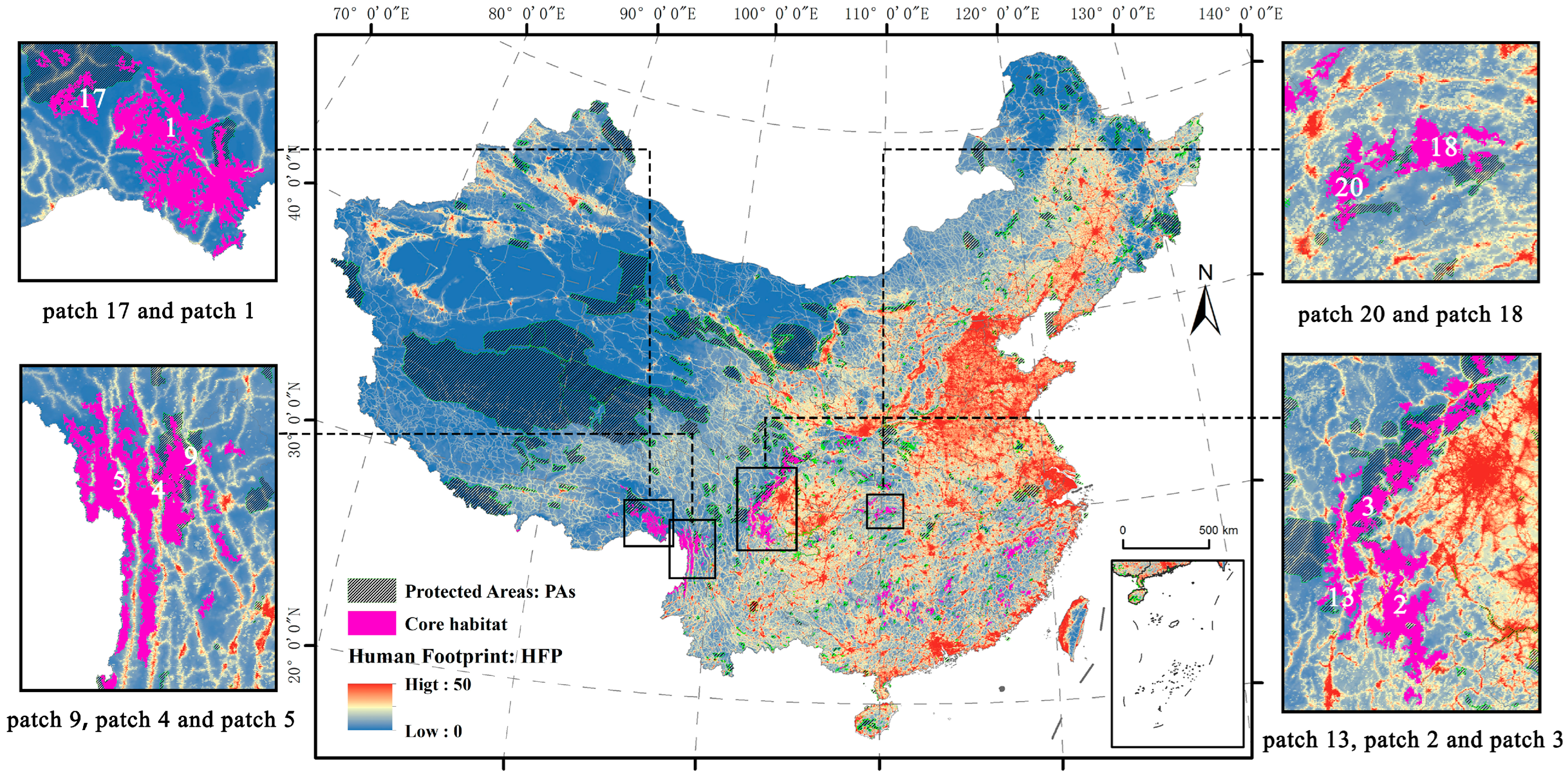 Animals 14 02477 g003