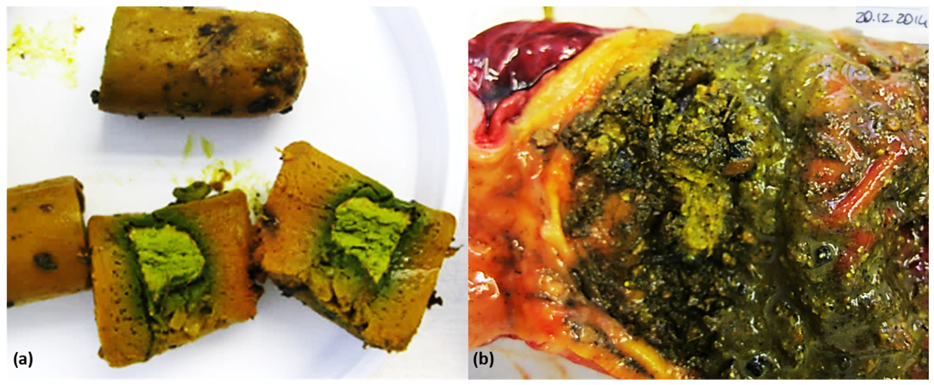 Animals 14 02483 g002