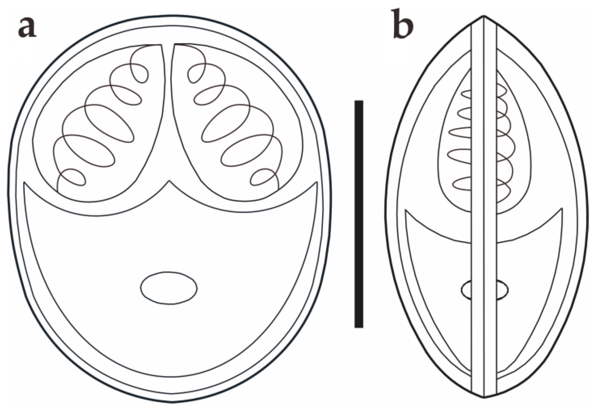 Animals 14 02487 g003