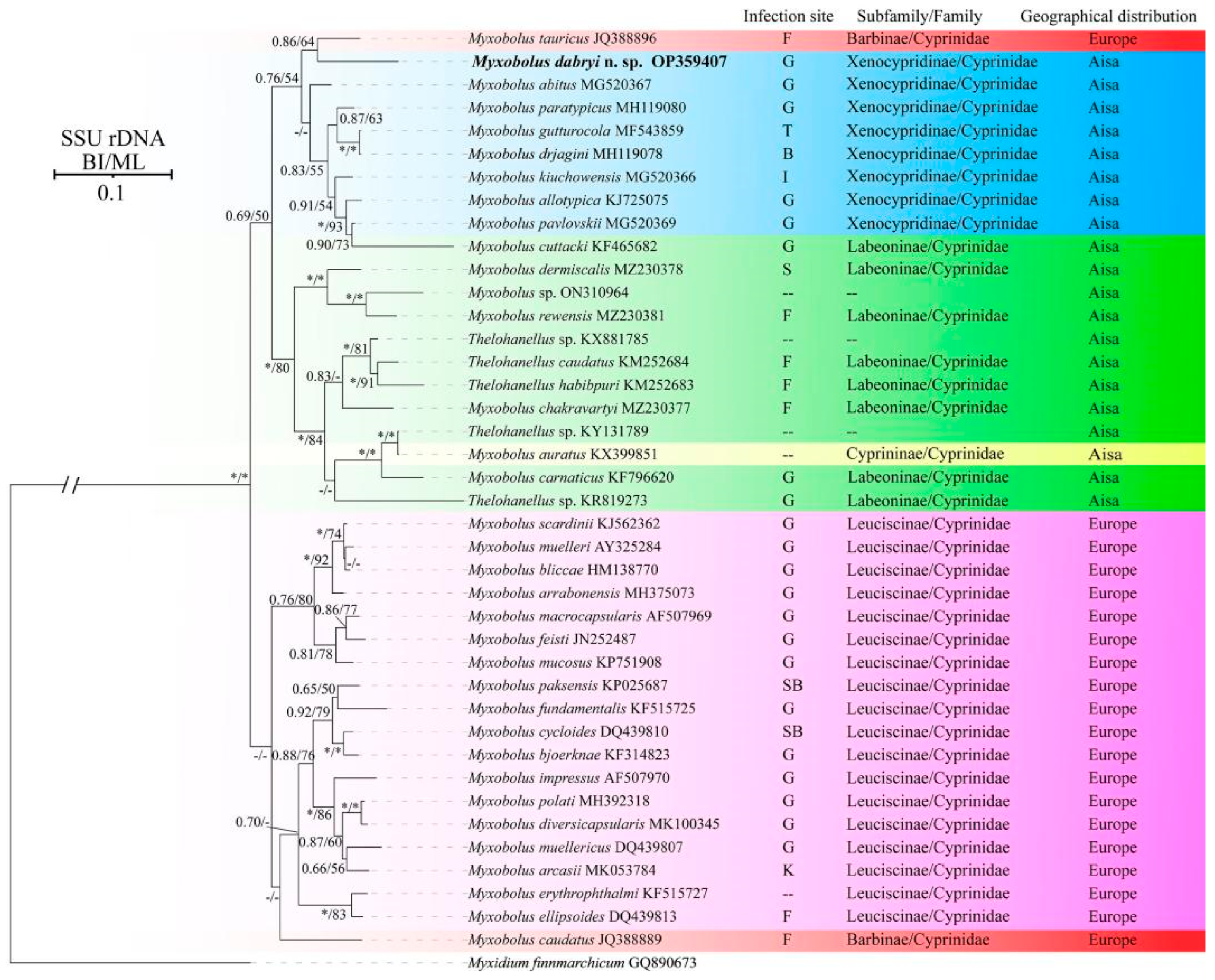 Animals 14 02487 g005