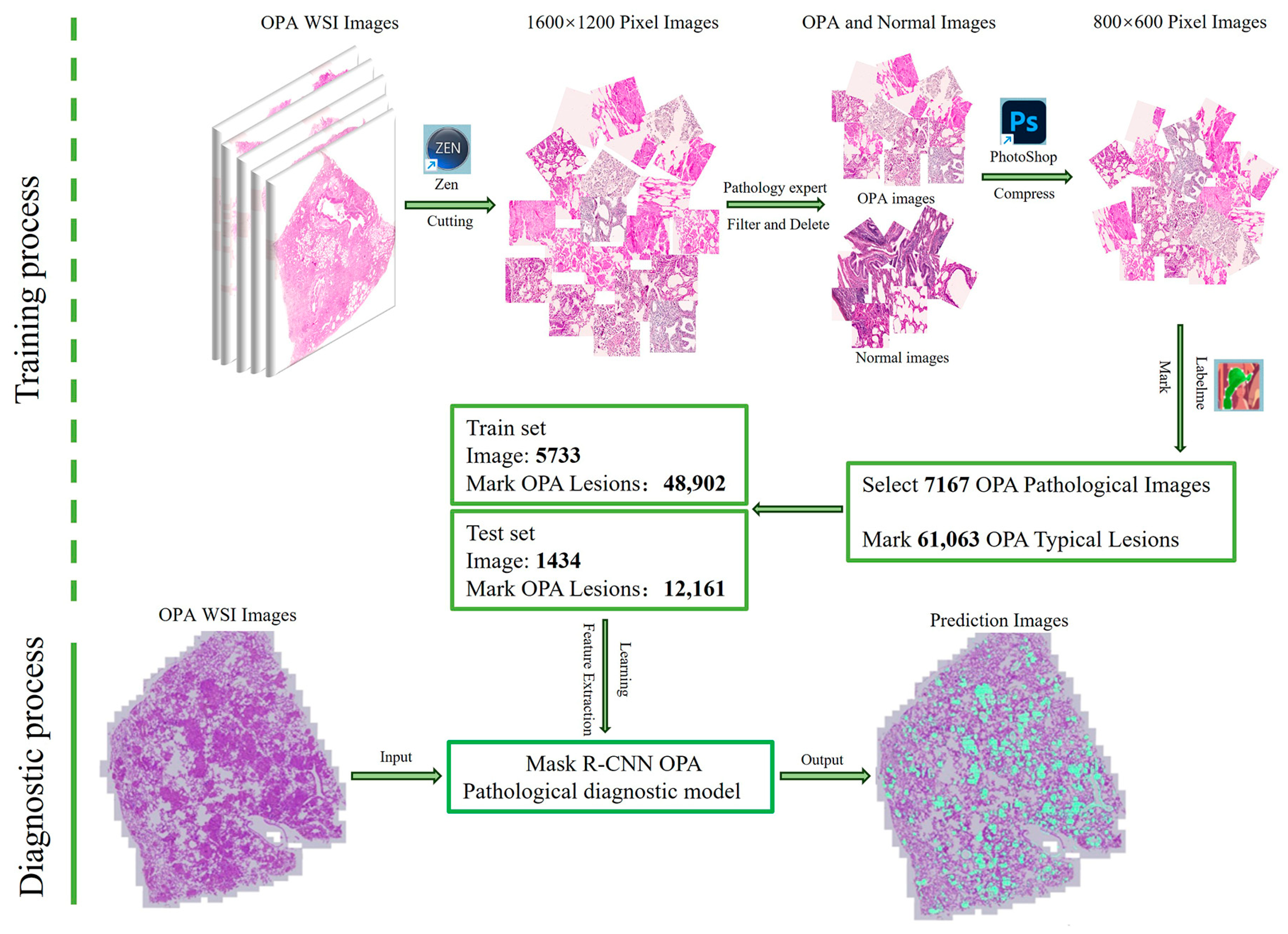 Animals 14 02488 g005 Animals 14 02488 g005