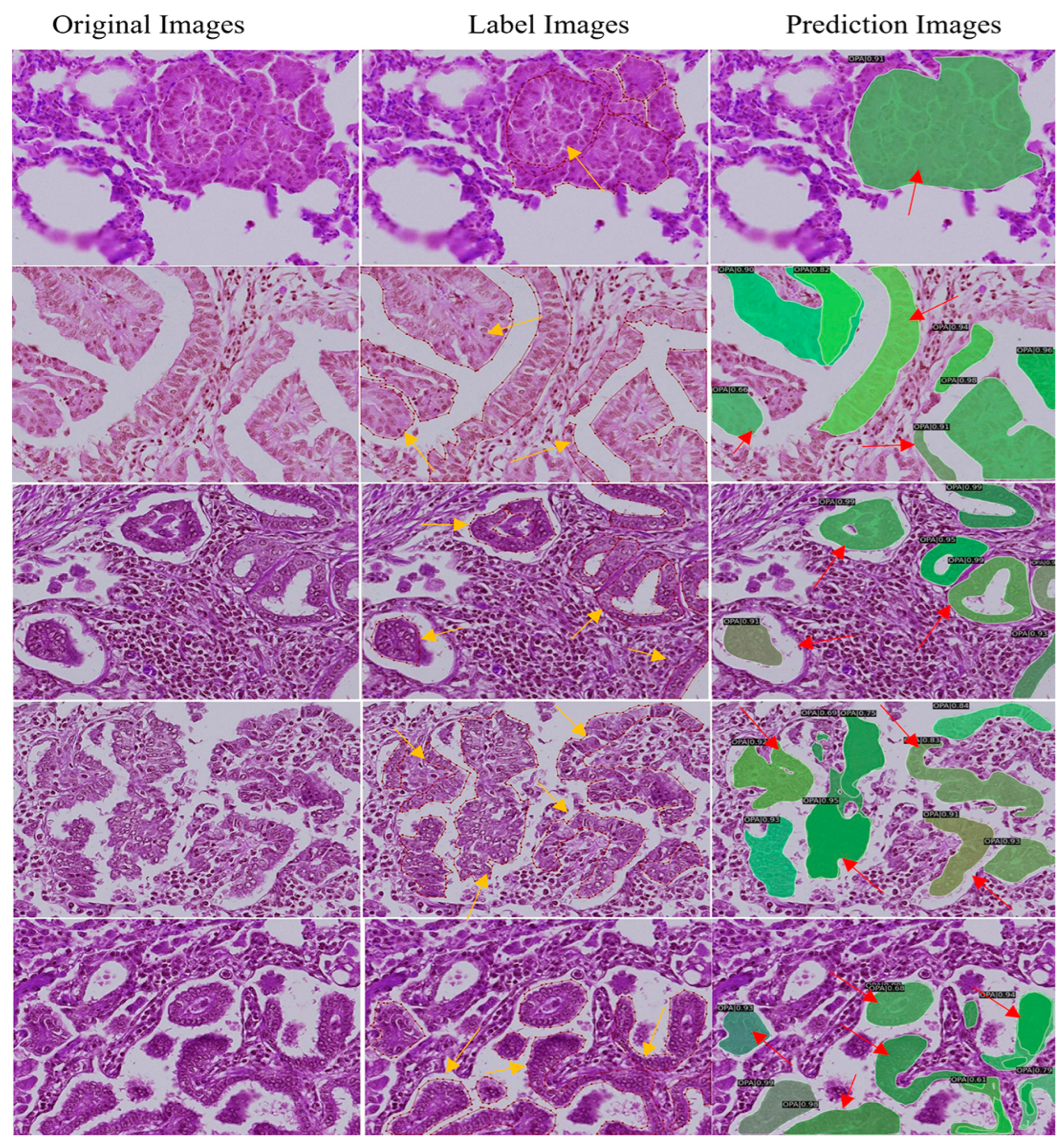 Animals 14 02488 g007 Animals 14 02488 g007