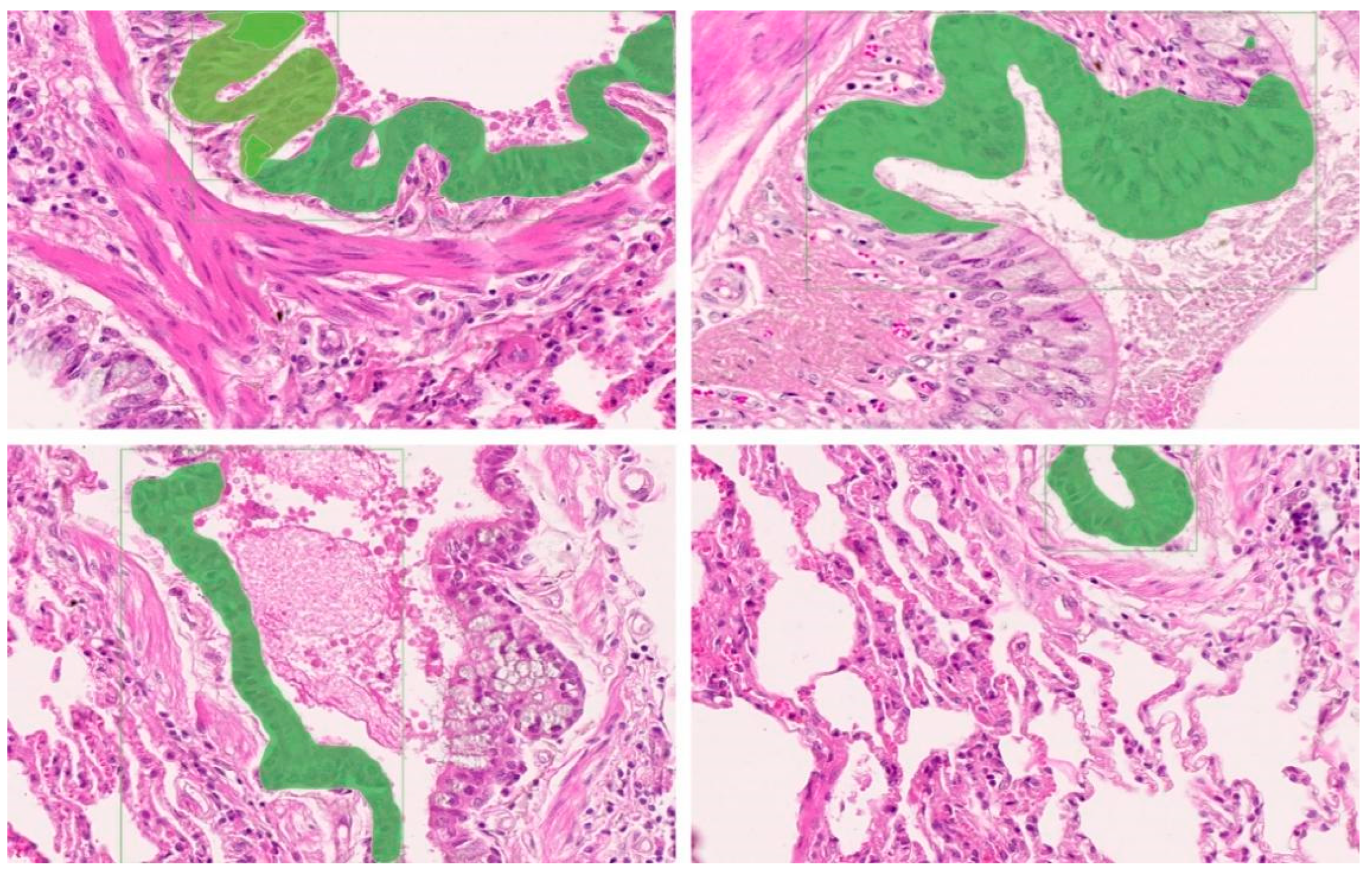 Animals 14 02488 g009 Animals 14 02488 g009