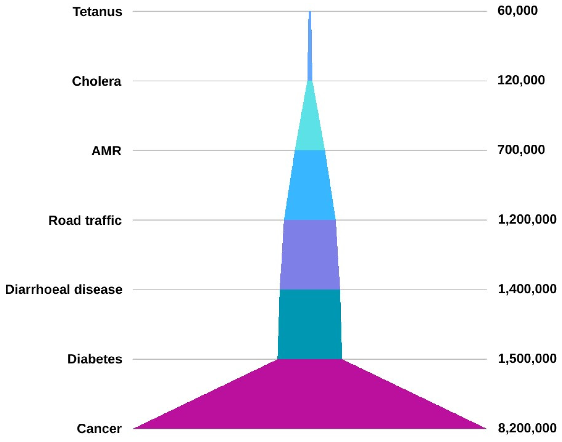 Animals 14 02490 g001