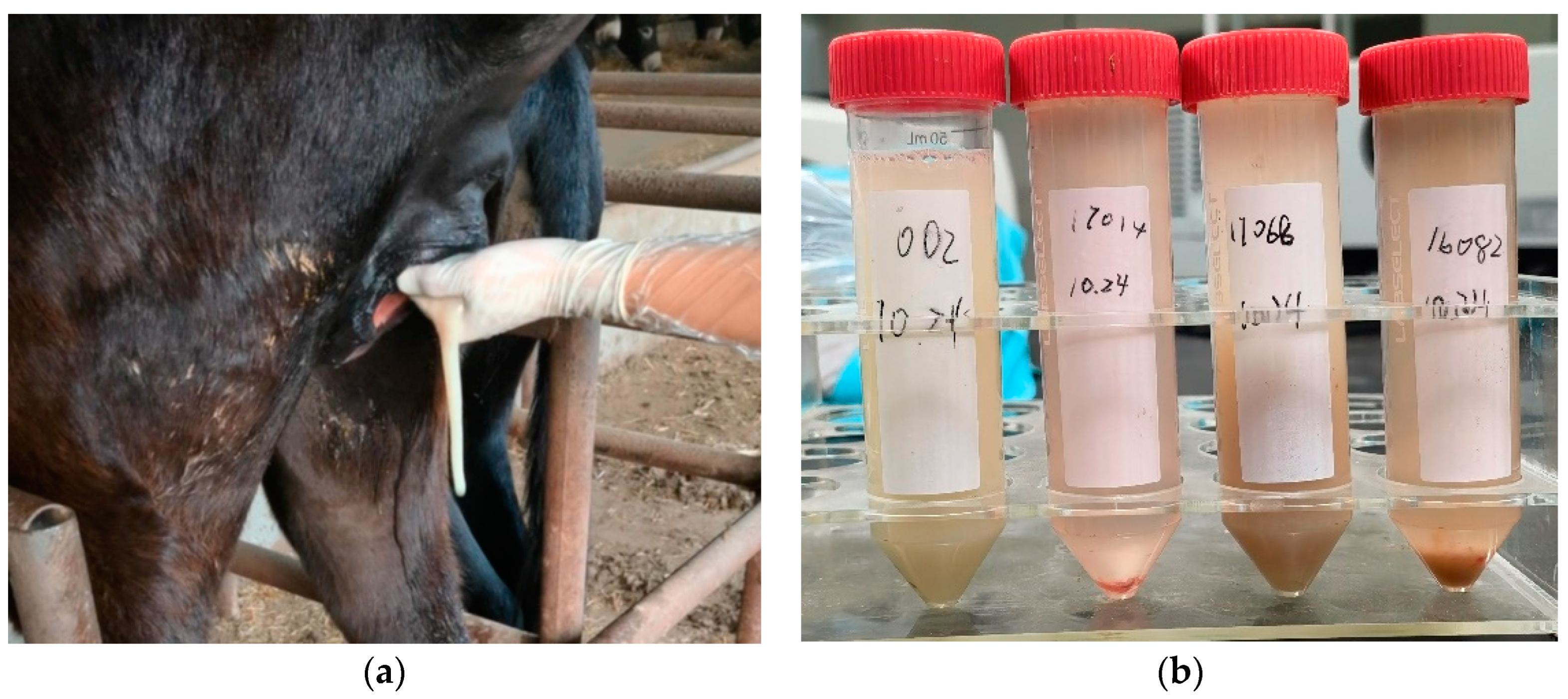 Animals 14 02494 g002 Animals 14 02494 g002