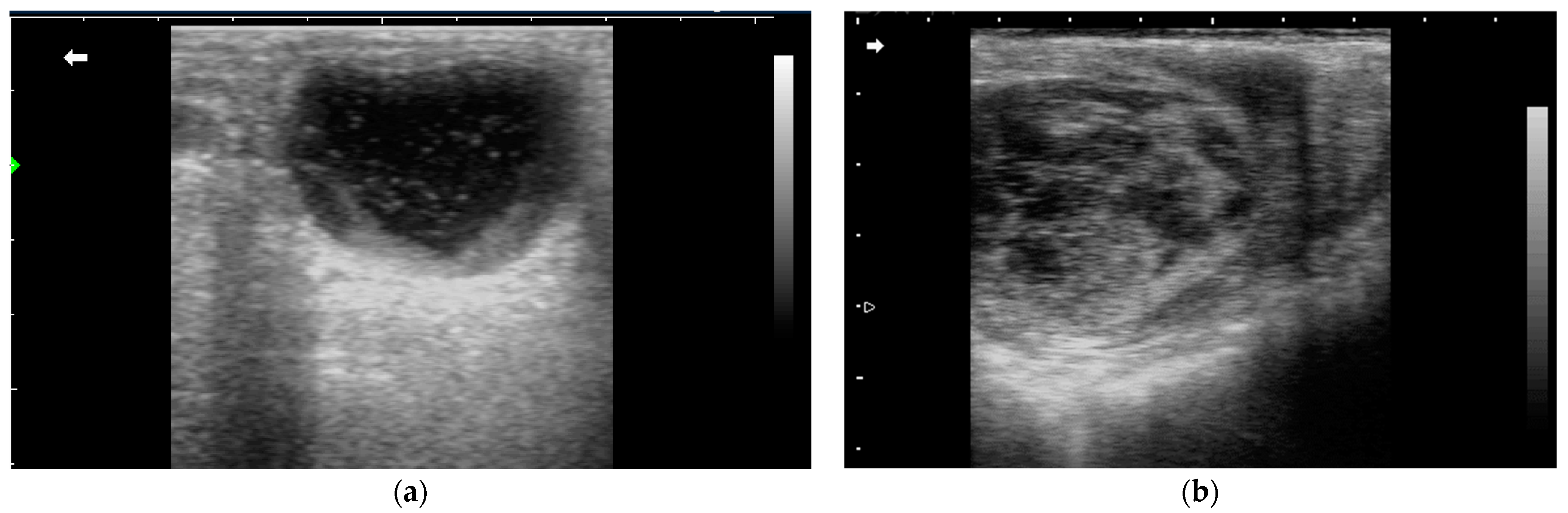 Animals 14 02494 g003 Animals 14 02494 g003