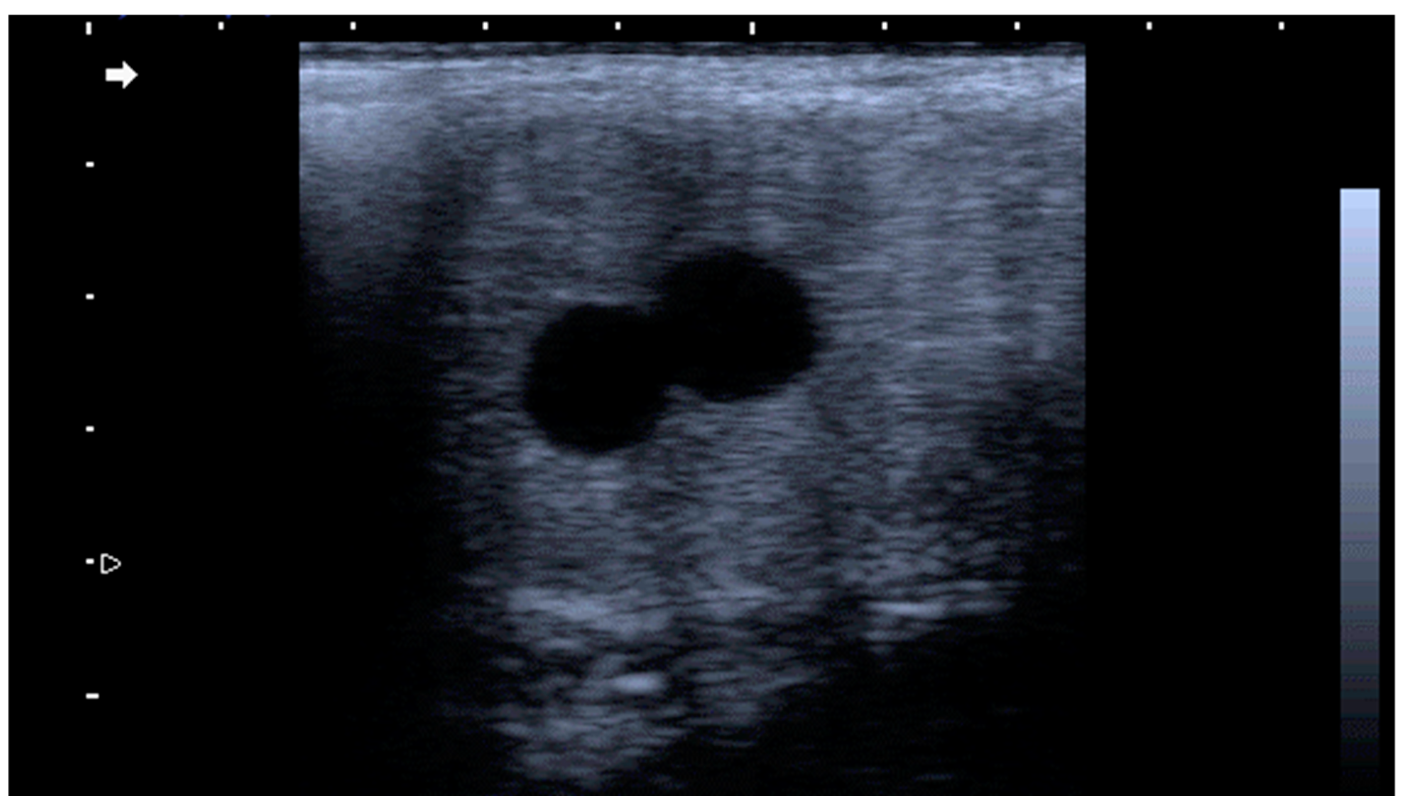 Animals 14 02494 g006 Animals 14 02494 g006