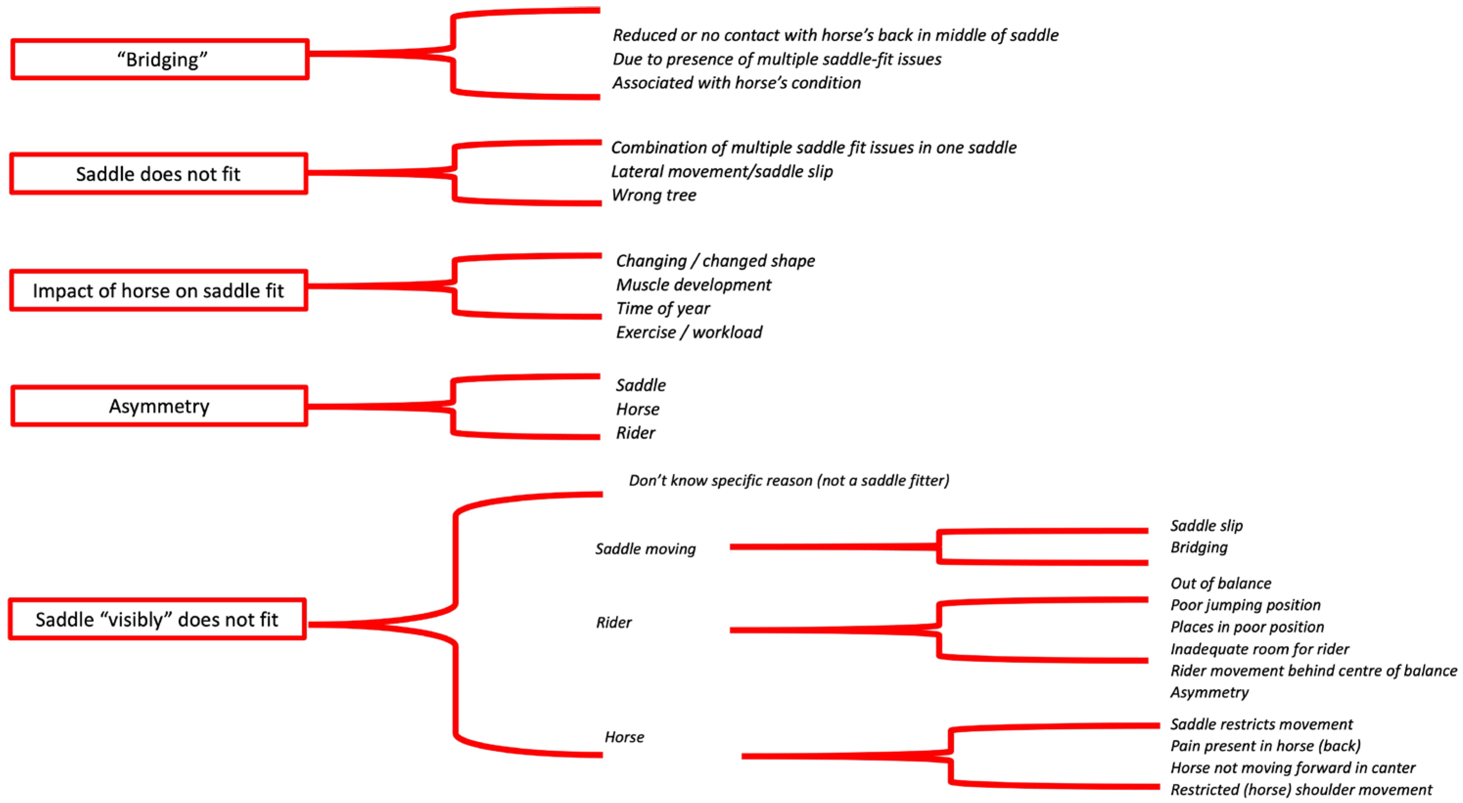 Animals 14 02495 g004