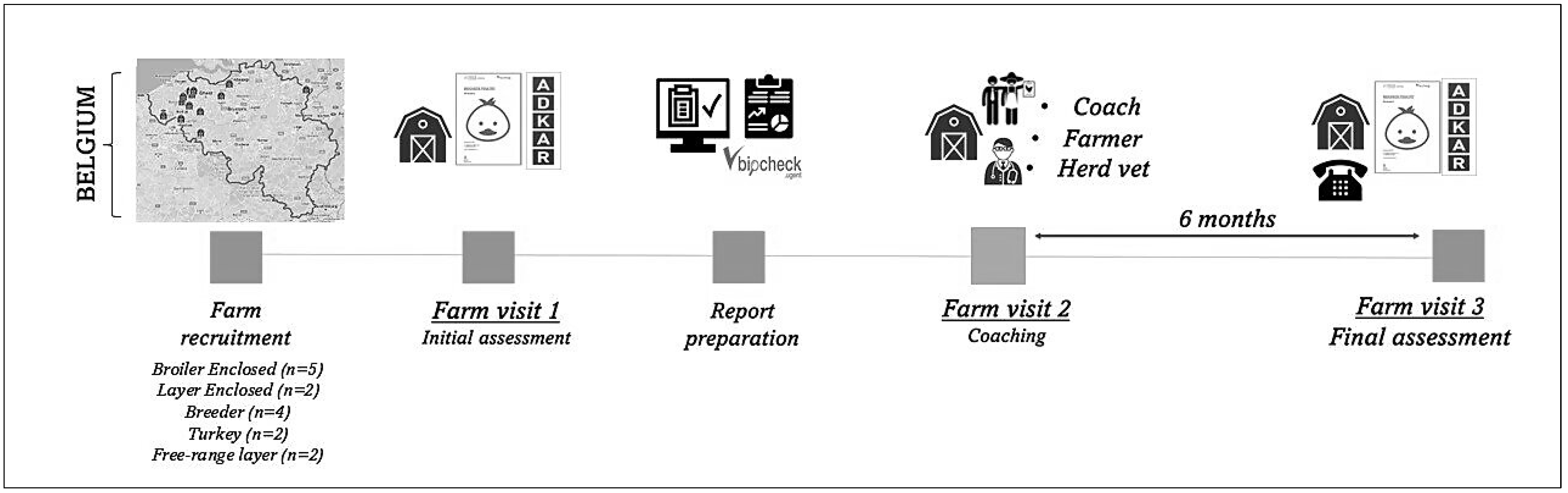 Animals 14 02498 g001