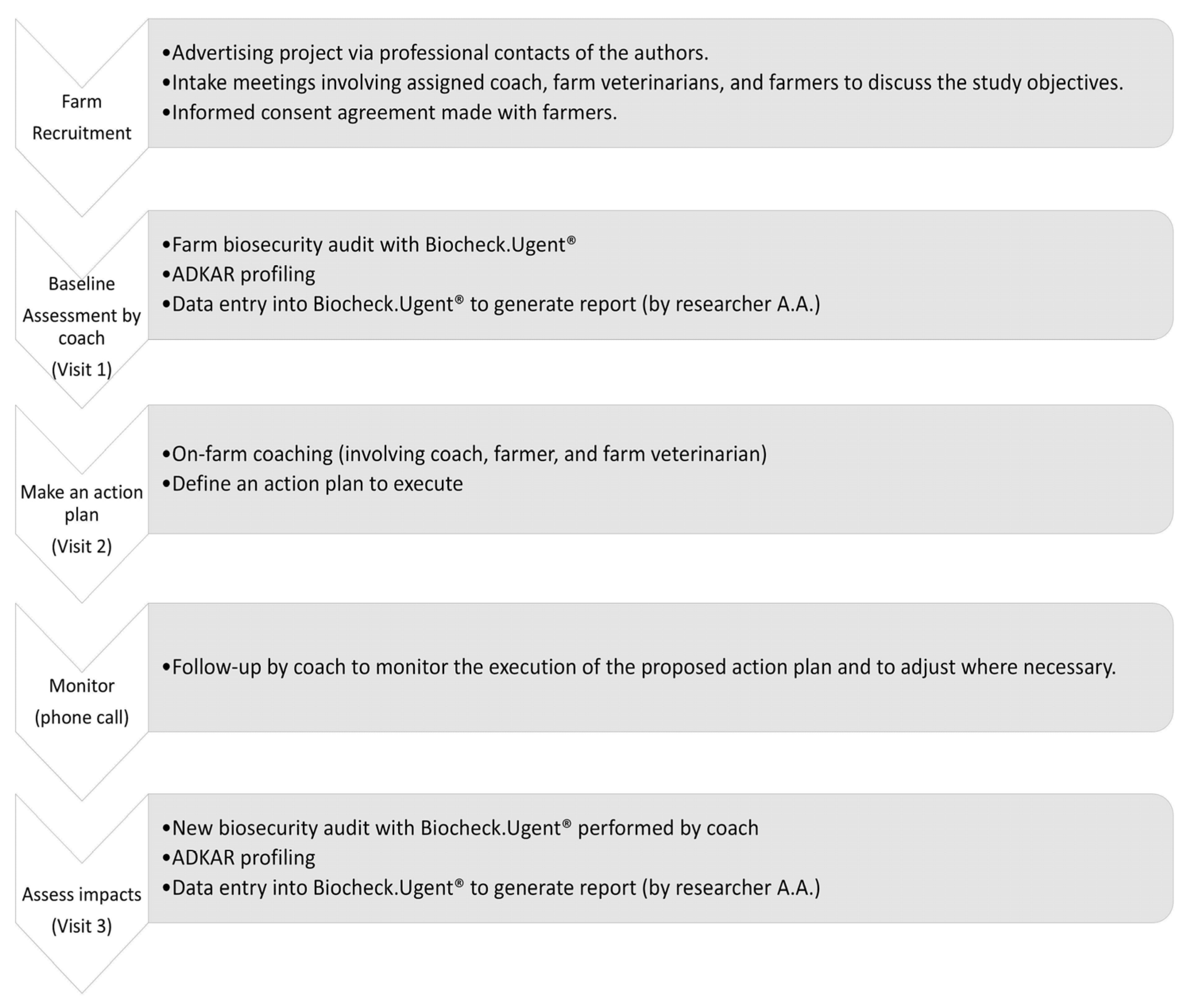 Animals 14 02498 g002