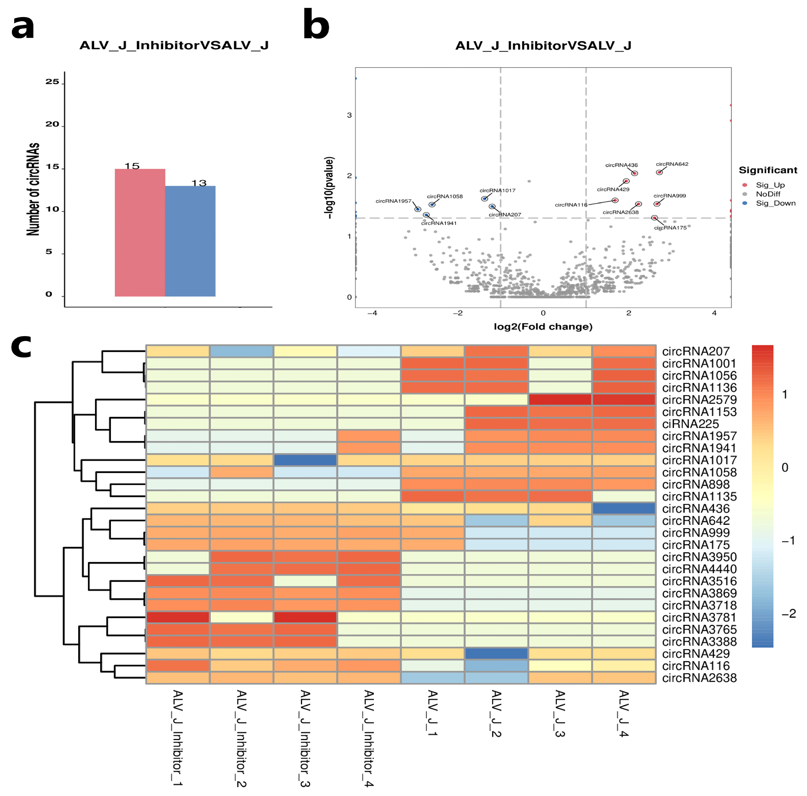 Animals 14 02500 g004