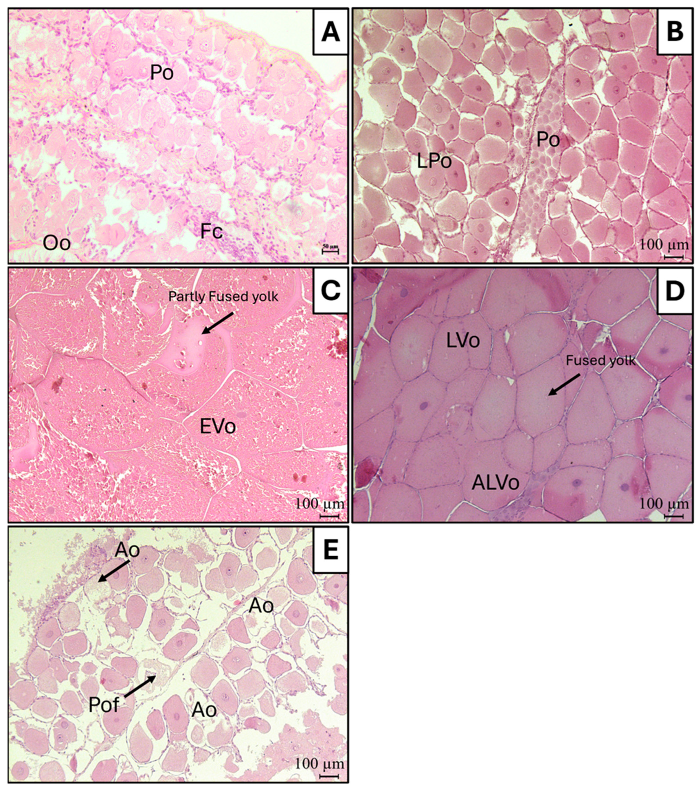 Animals 14 02503 g009