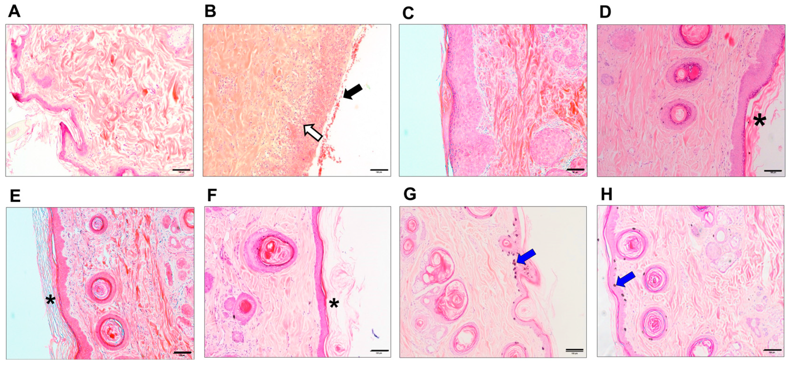 Animals 14 02505 g002