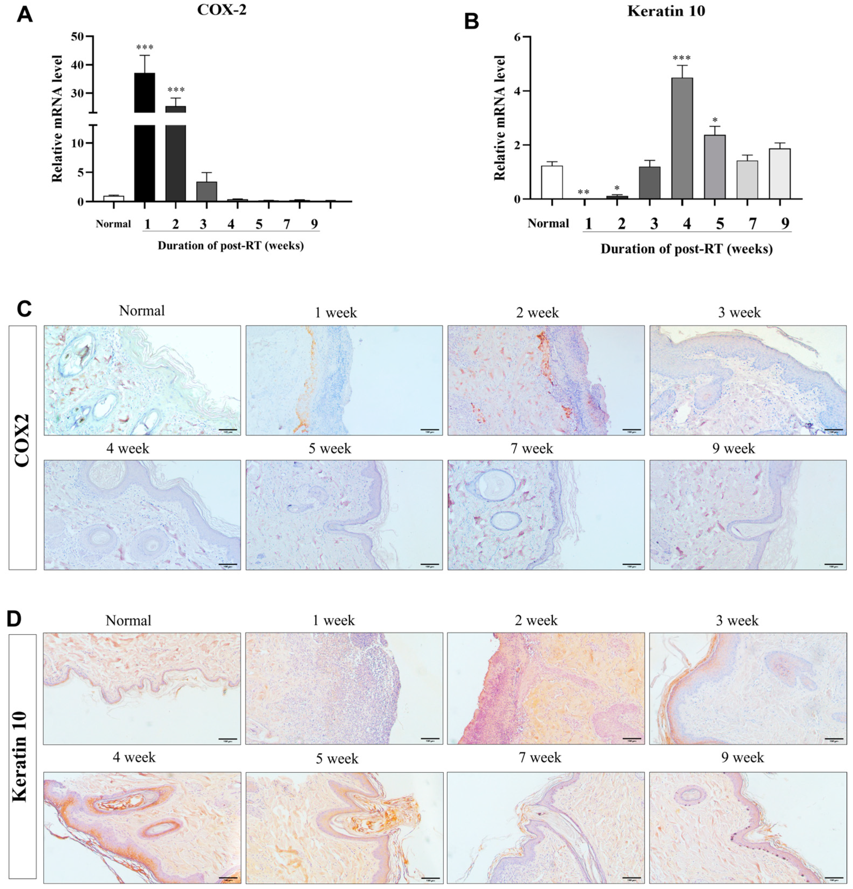 Animals 14 02505 g004