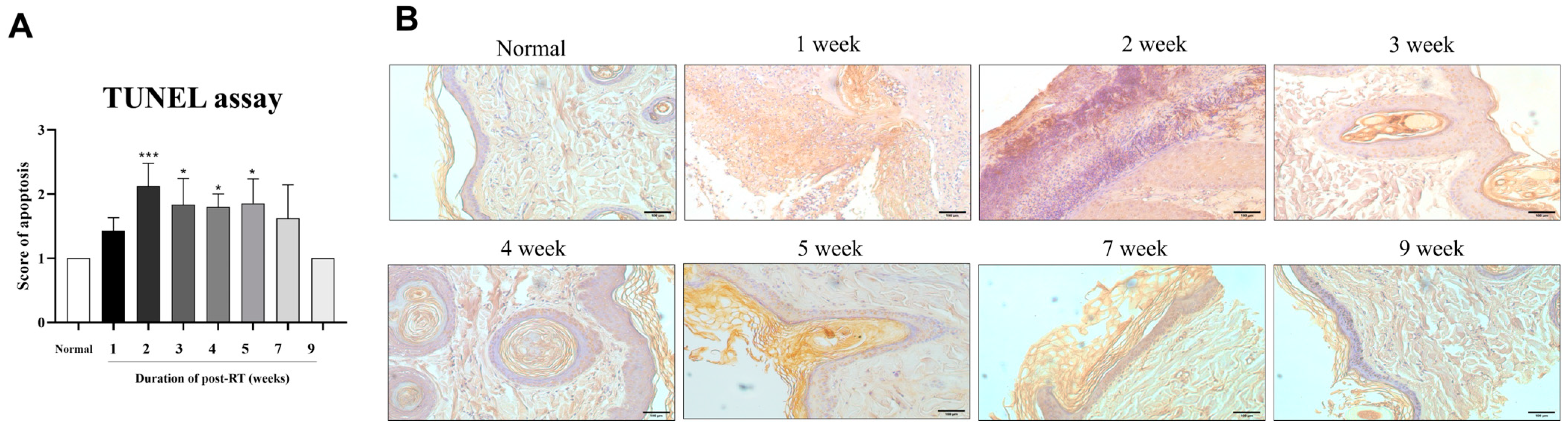 Animals 14 02505 g005