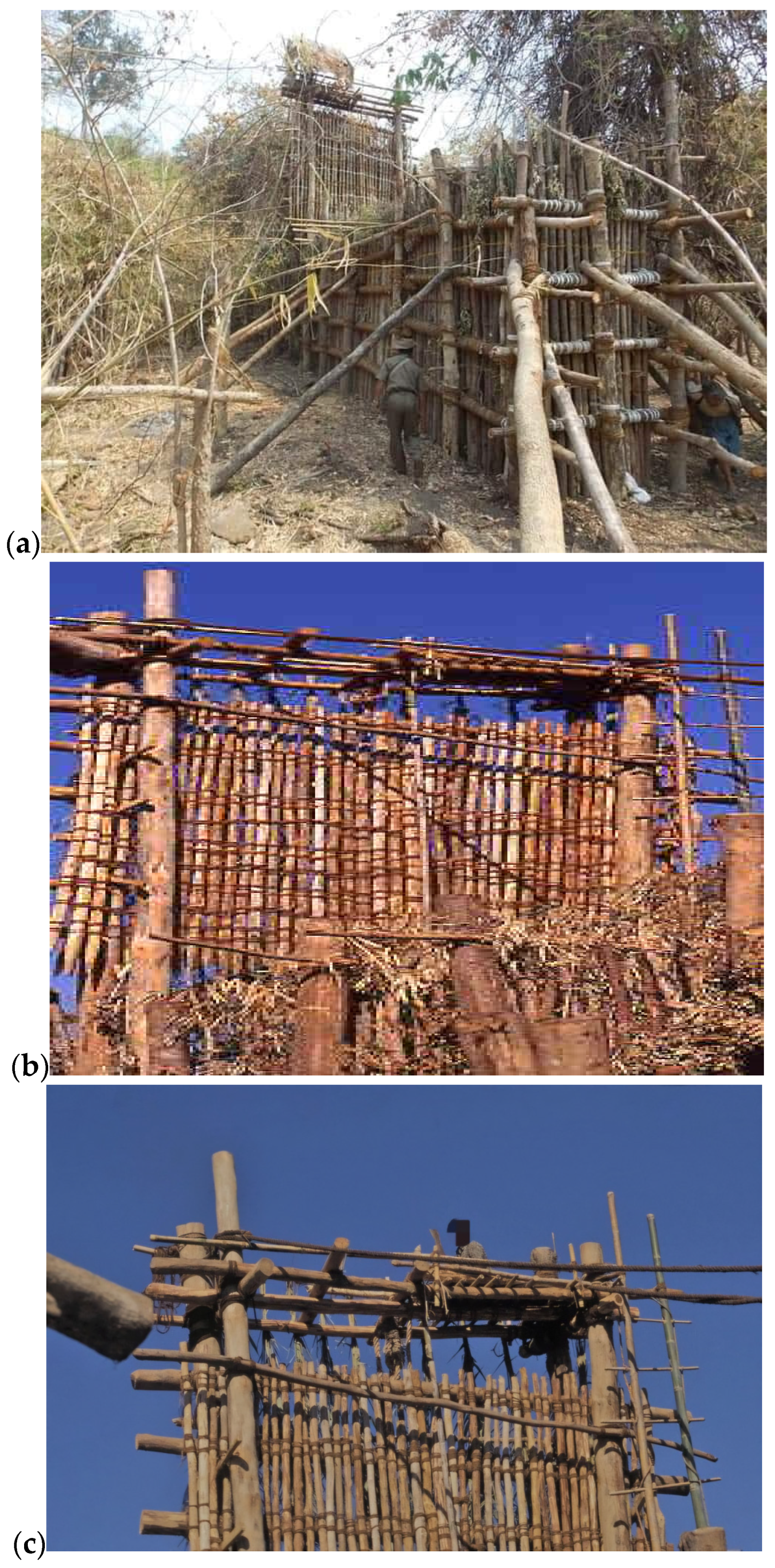 Animals 14 02506 g003