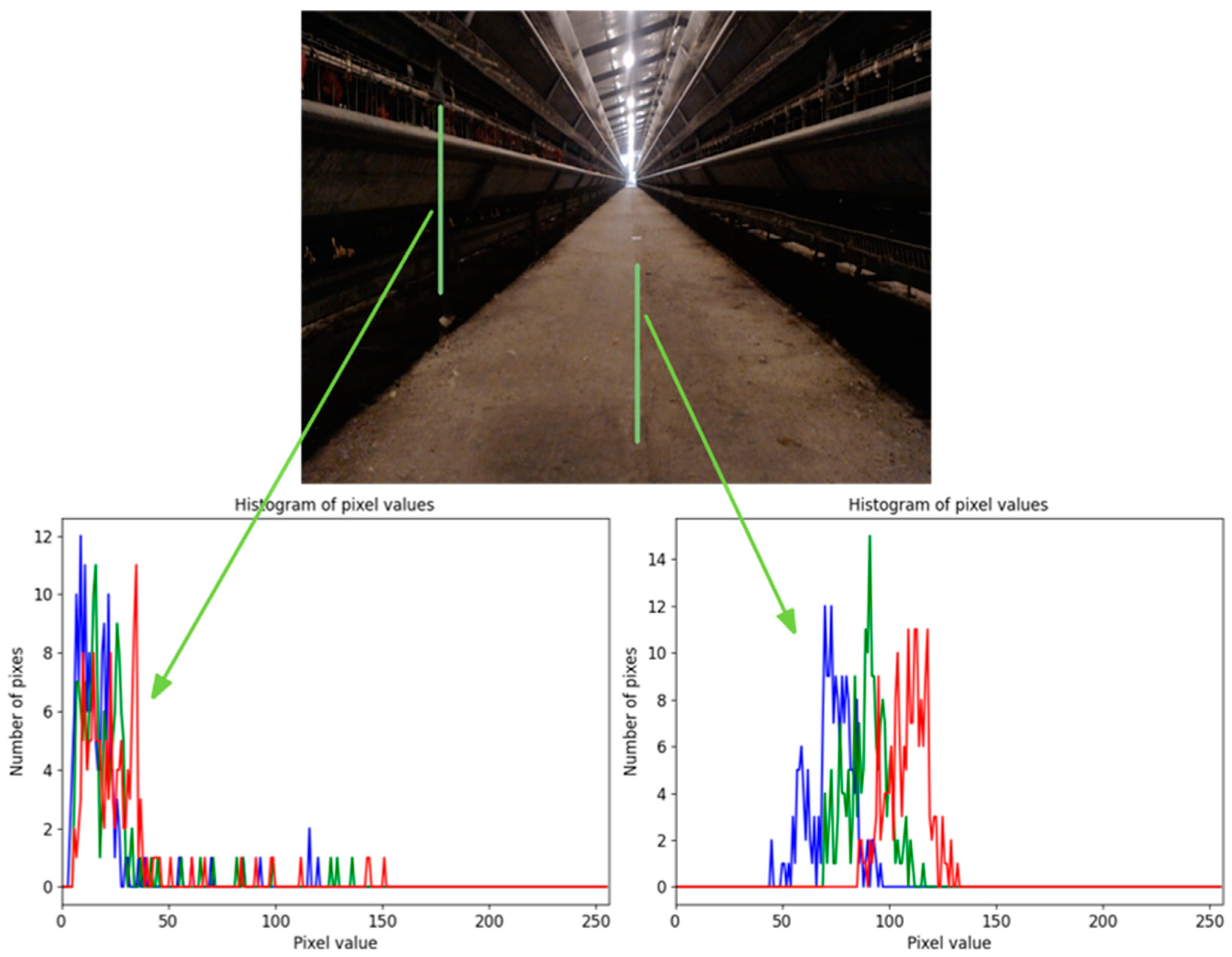 Animals 14 02515 g006 Animals 14 02515 g006