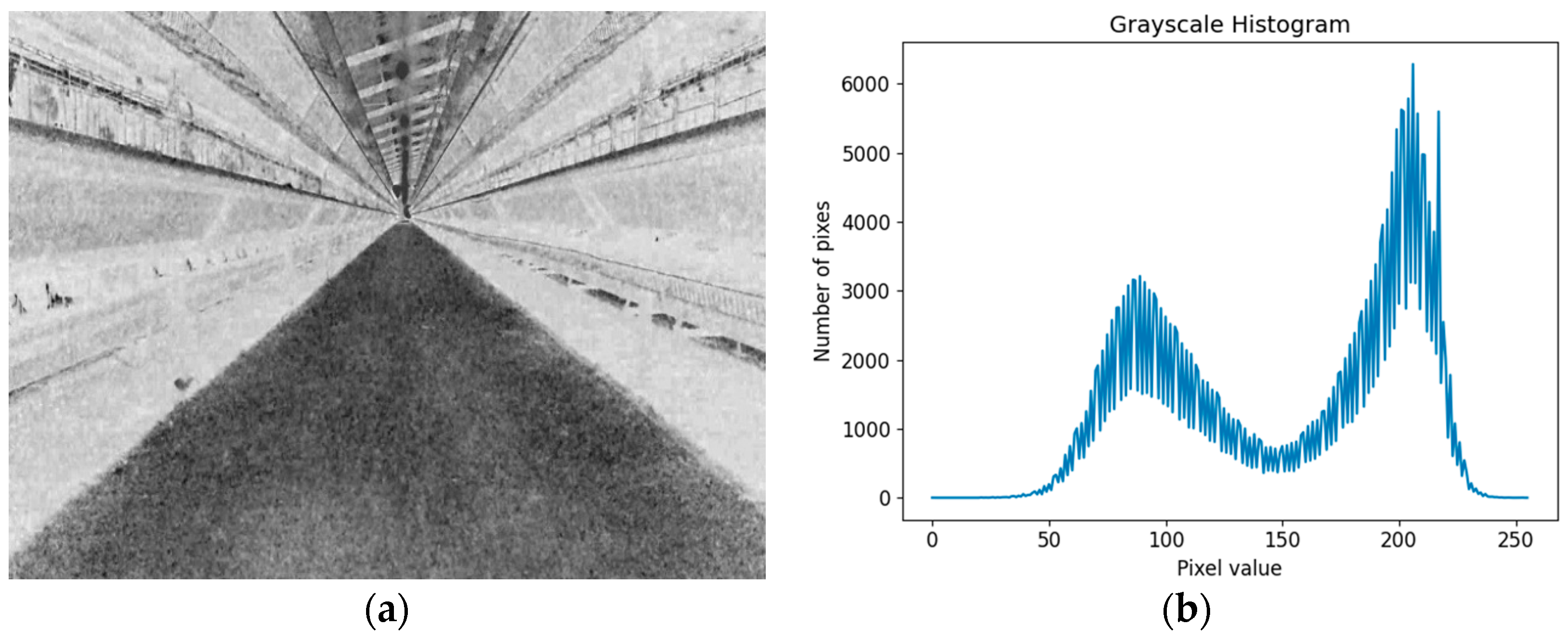 Animals 14 02515 g007 Animals 14 02515 g007