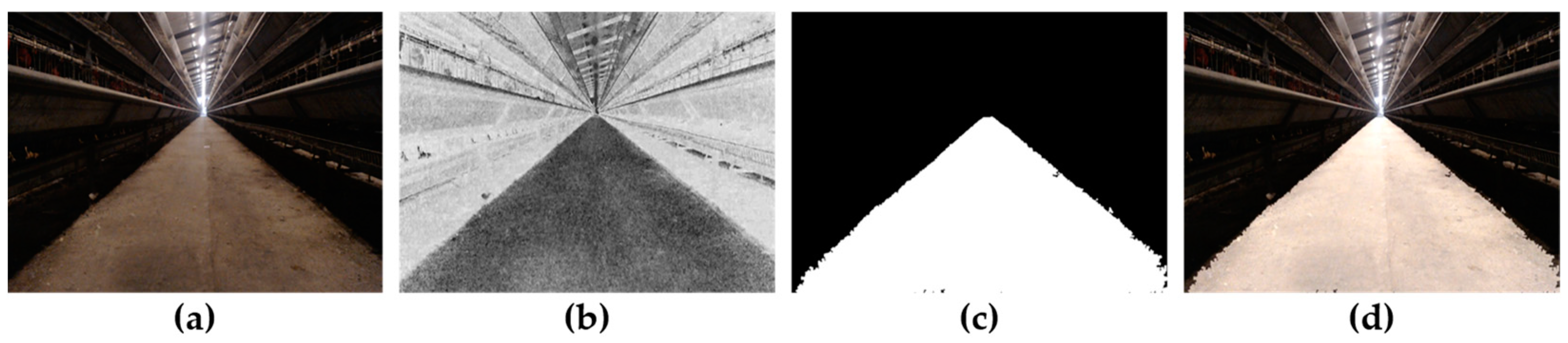 Animals 14 02515 g008 Animals 14 02515 g008