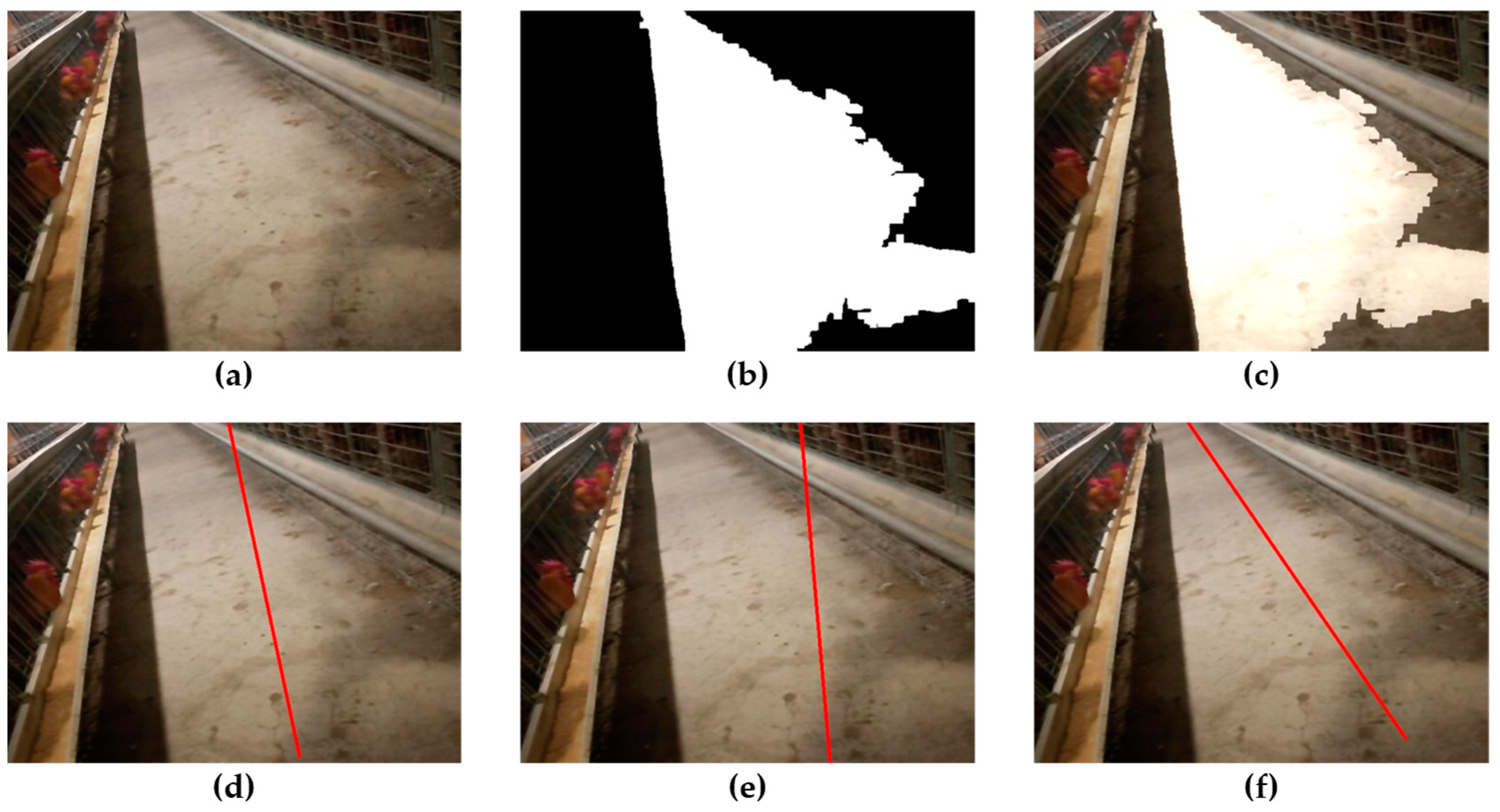 Animals 14 02515 g010 Animals 14 02515 g010