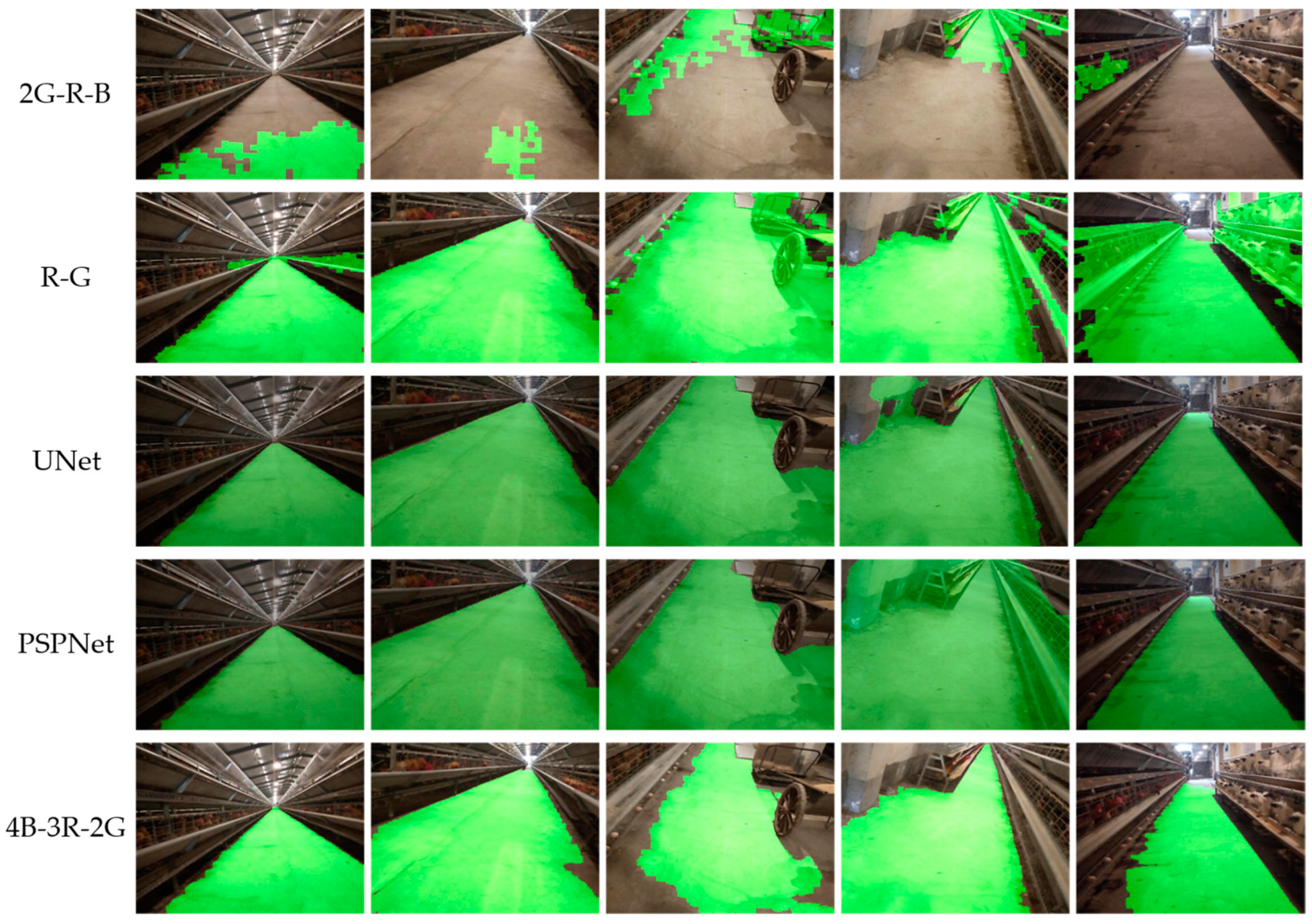 Animals 14 02515 g011 Animals 14 02515 g011