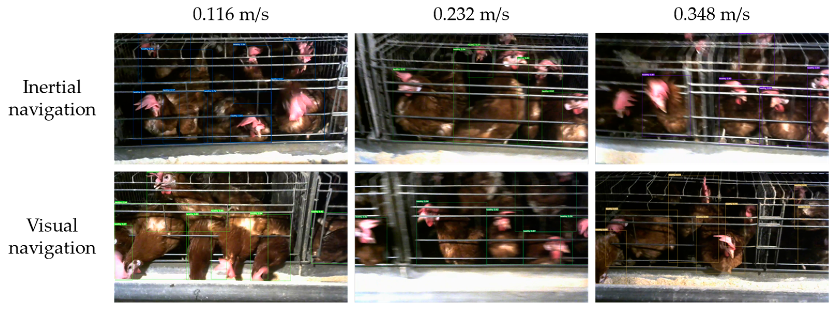 Animals 14 02515 g019 Animals 14 02515 g019