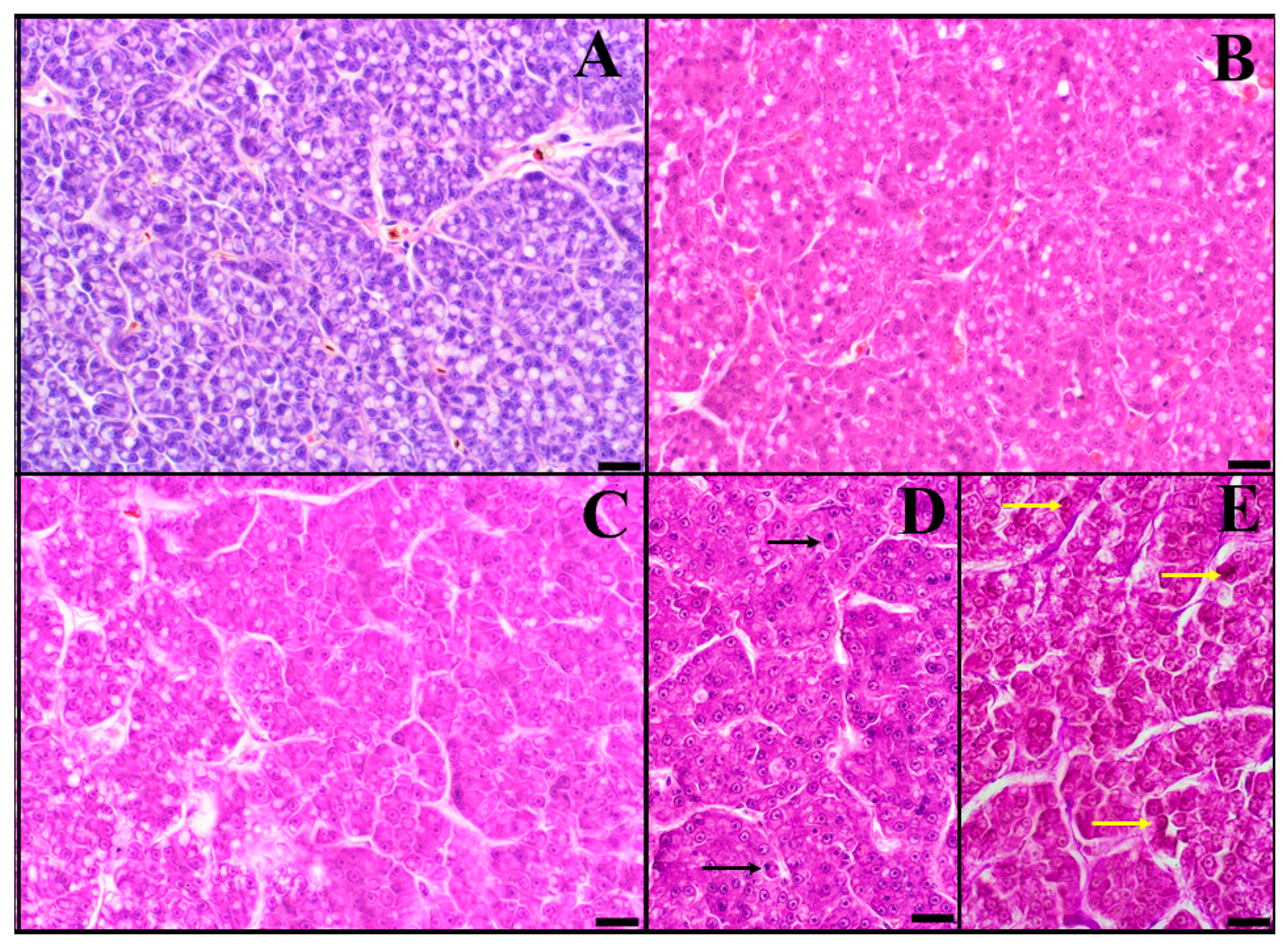 Animals 14 02516 g005