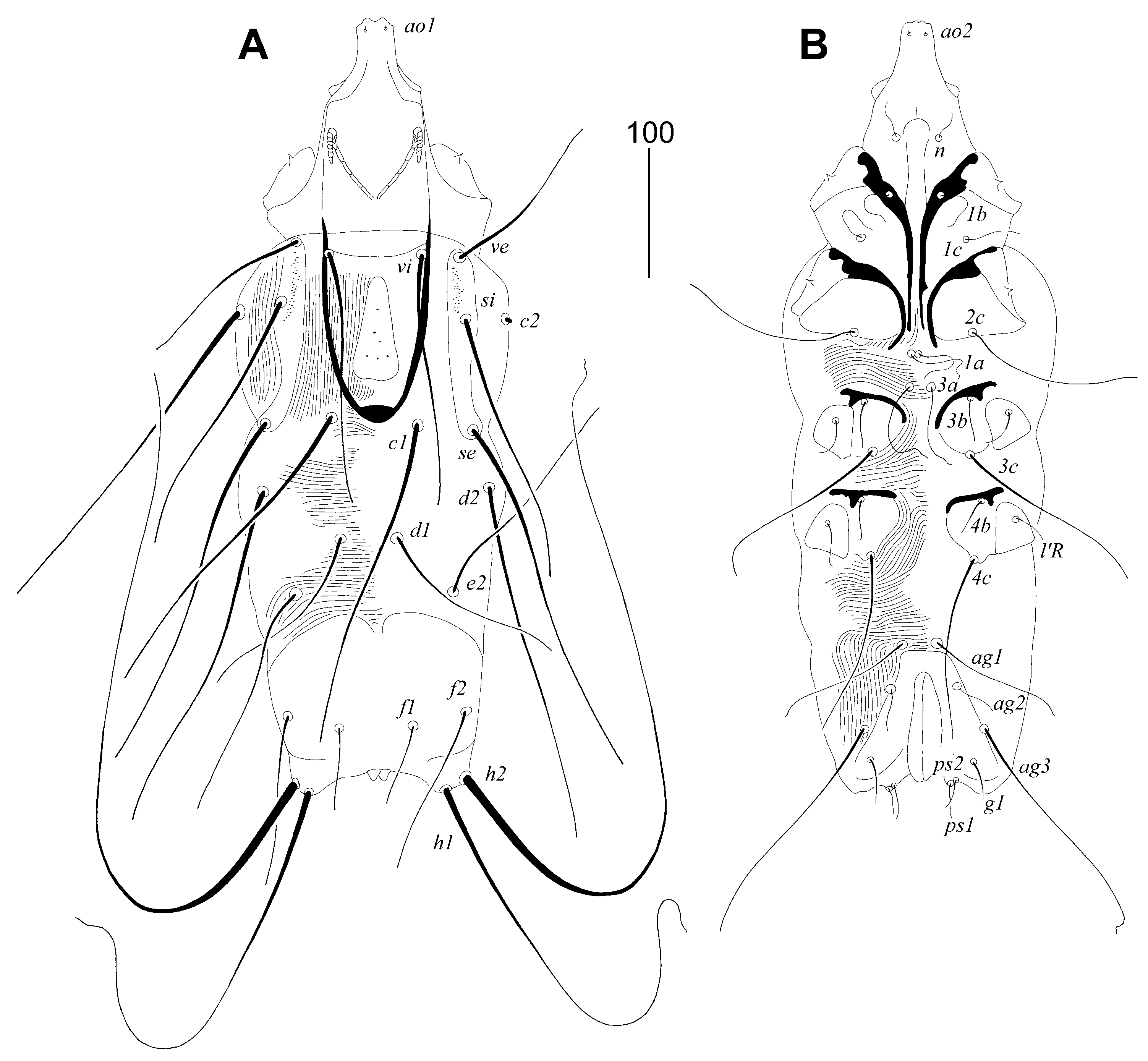 Animals 14 02517 g001