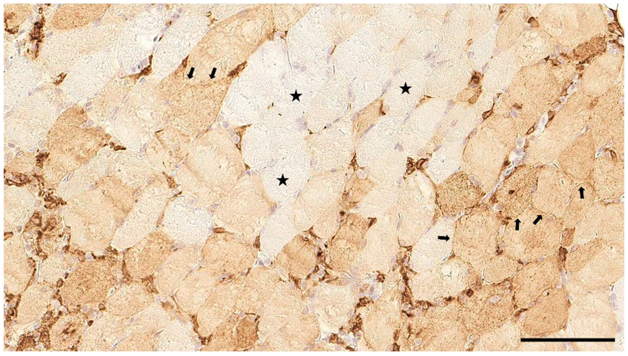 Animals 14 02519 g007