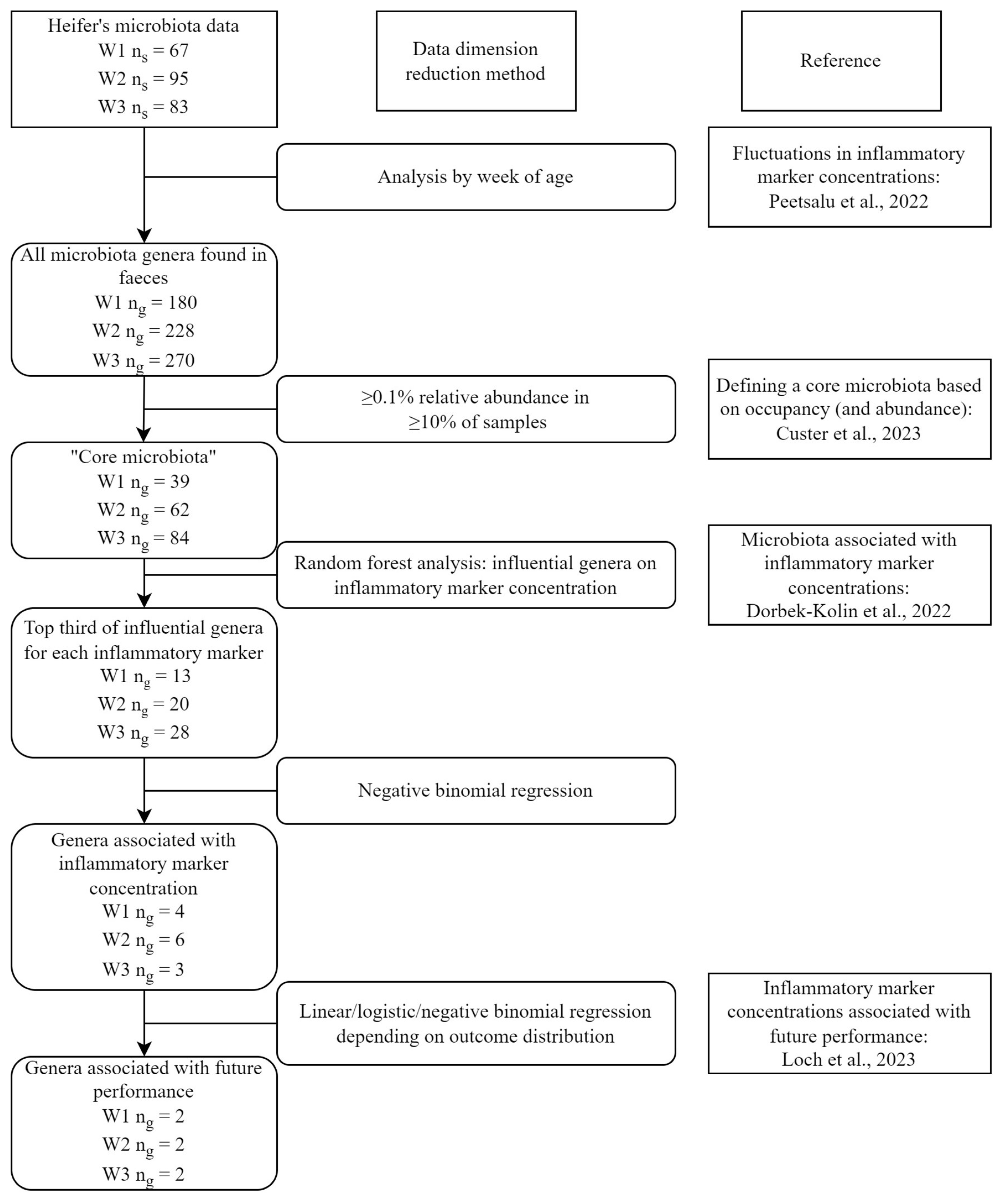 Animals 14 02533 g001