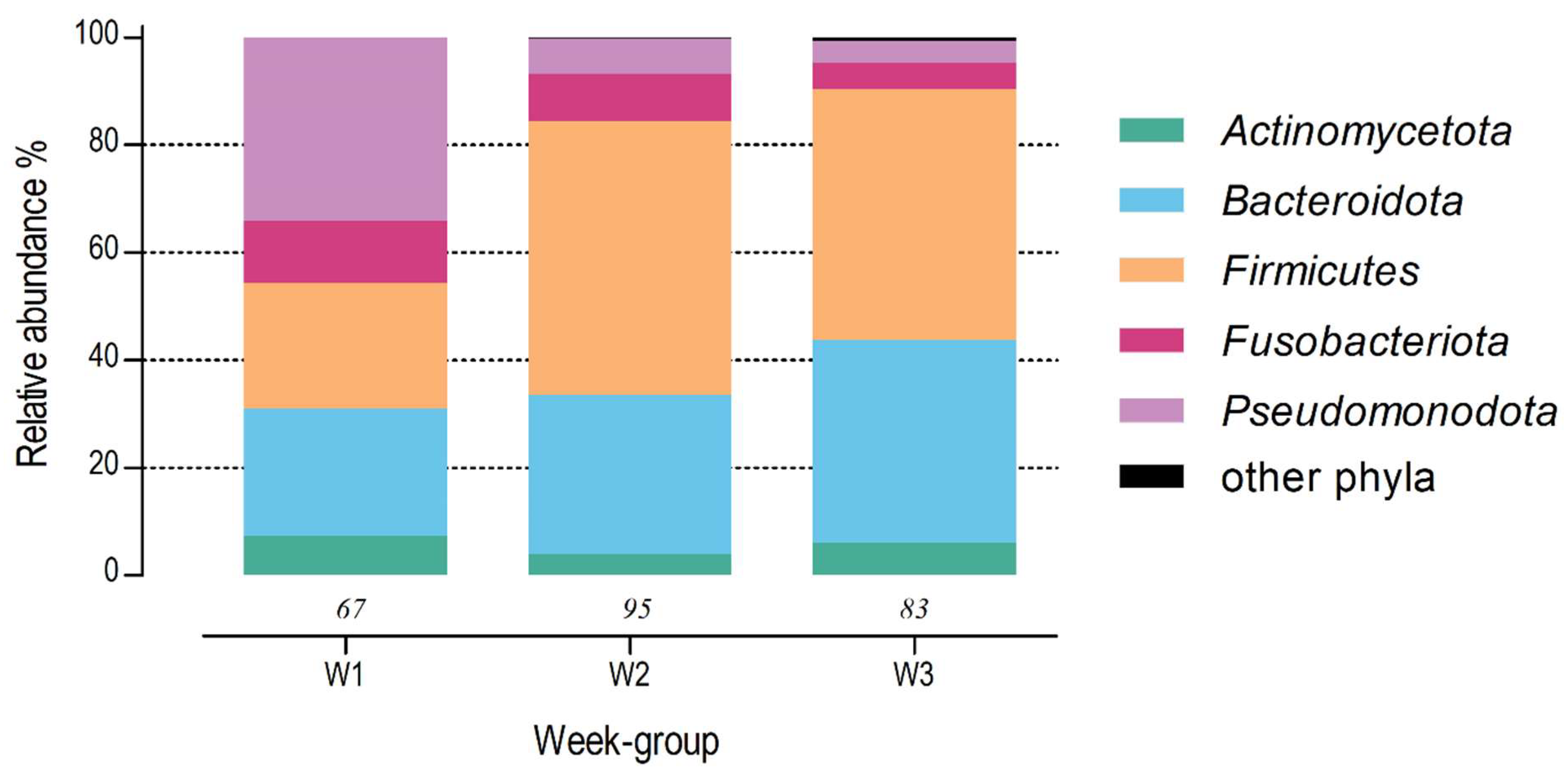 Animals 14 02533 g003