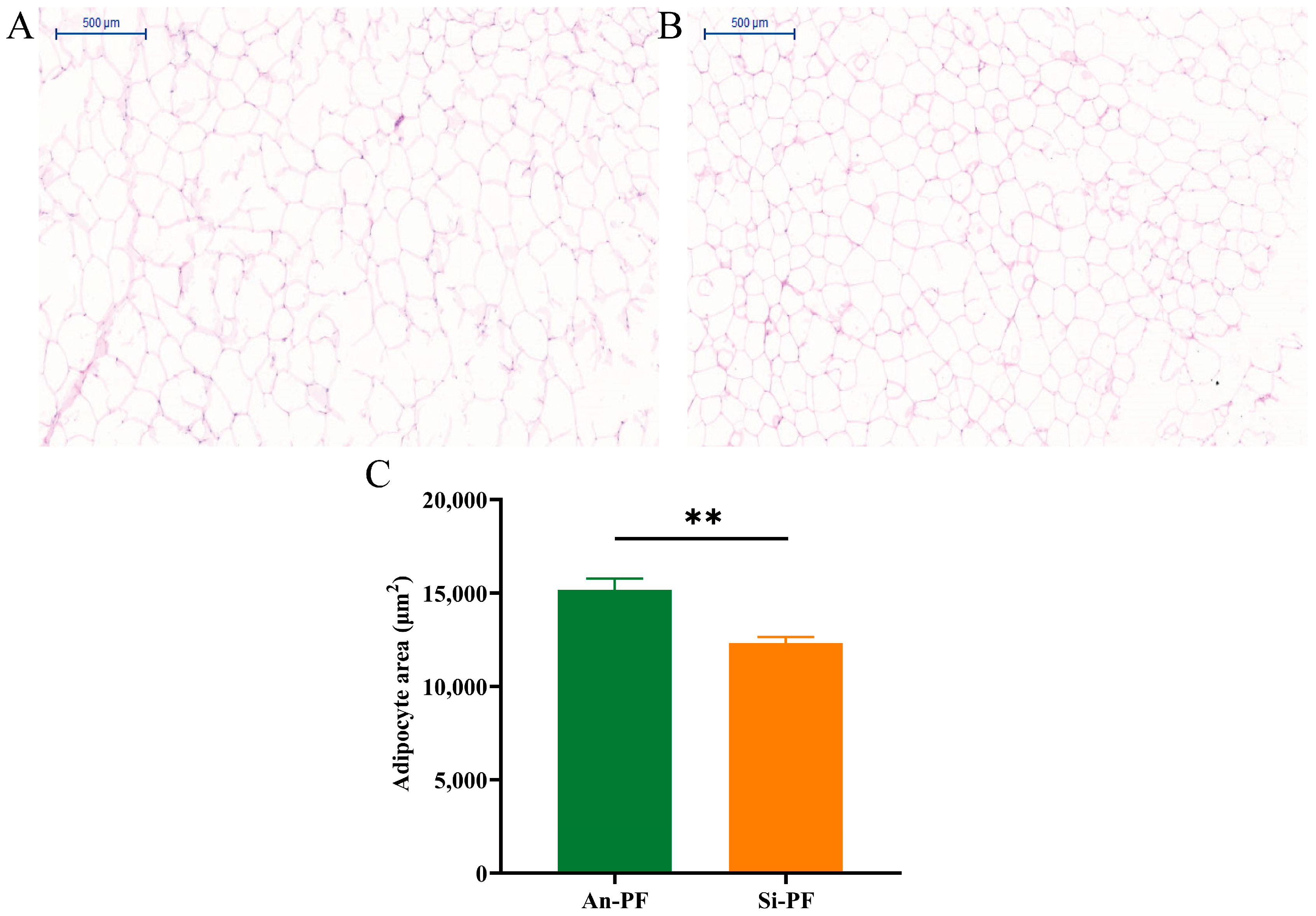 Animals 14 02536 g001