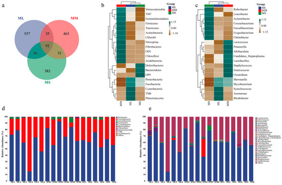 Integration of Gut Microbiota with Transcriptomic and