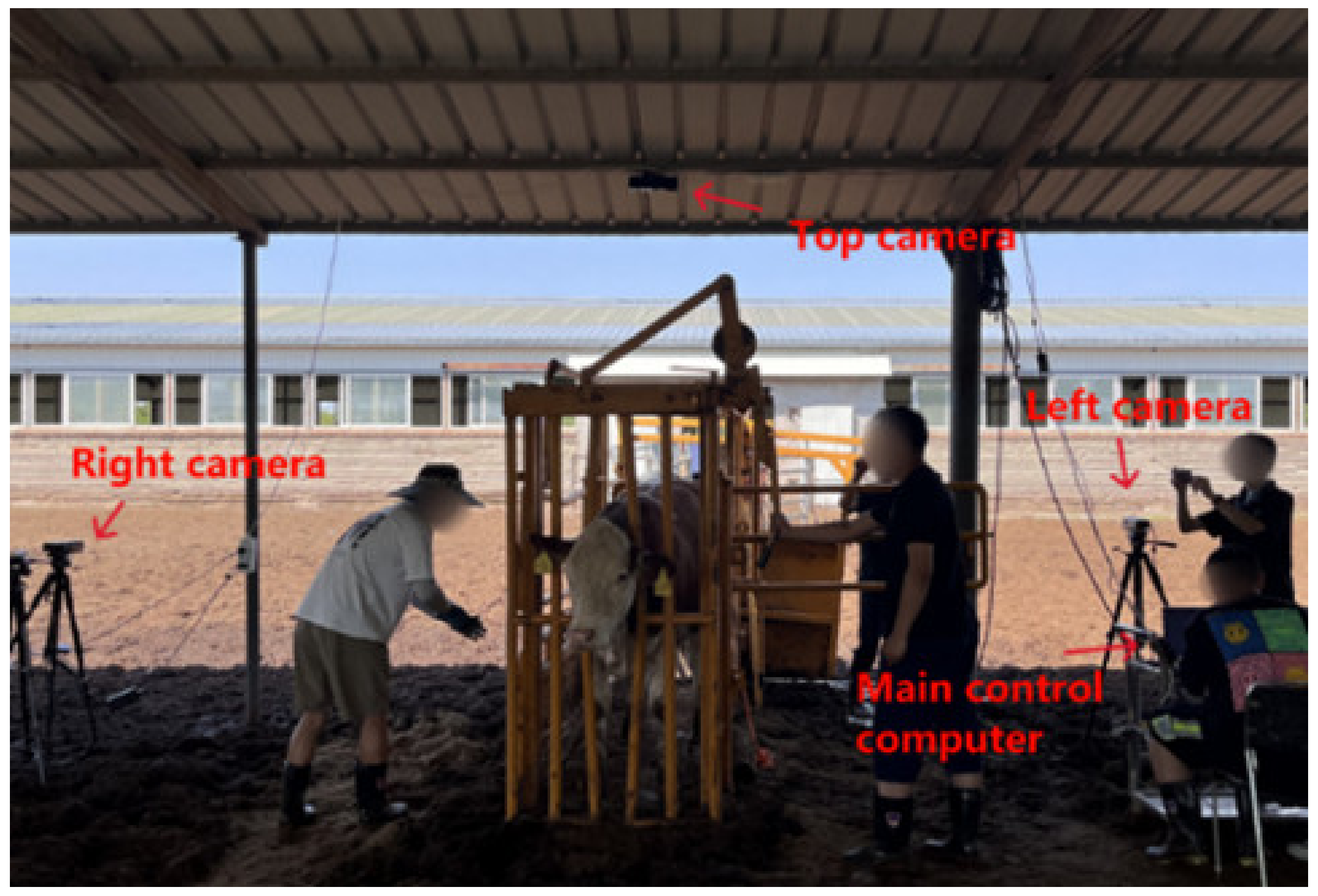 Animals 14 02553 g001