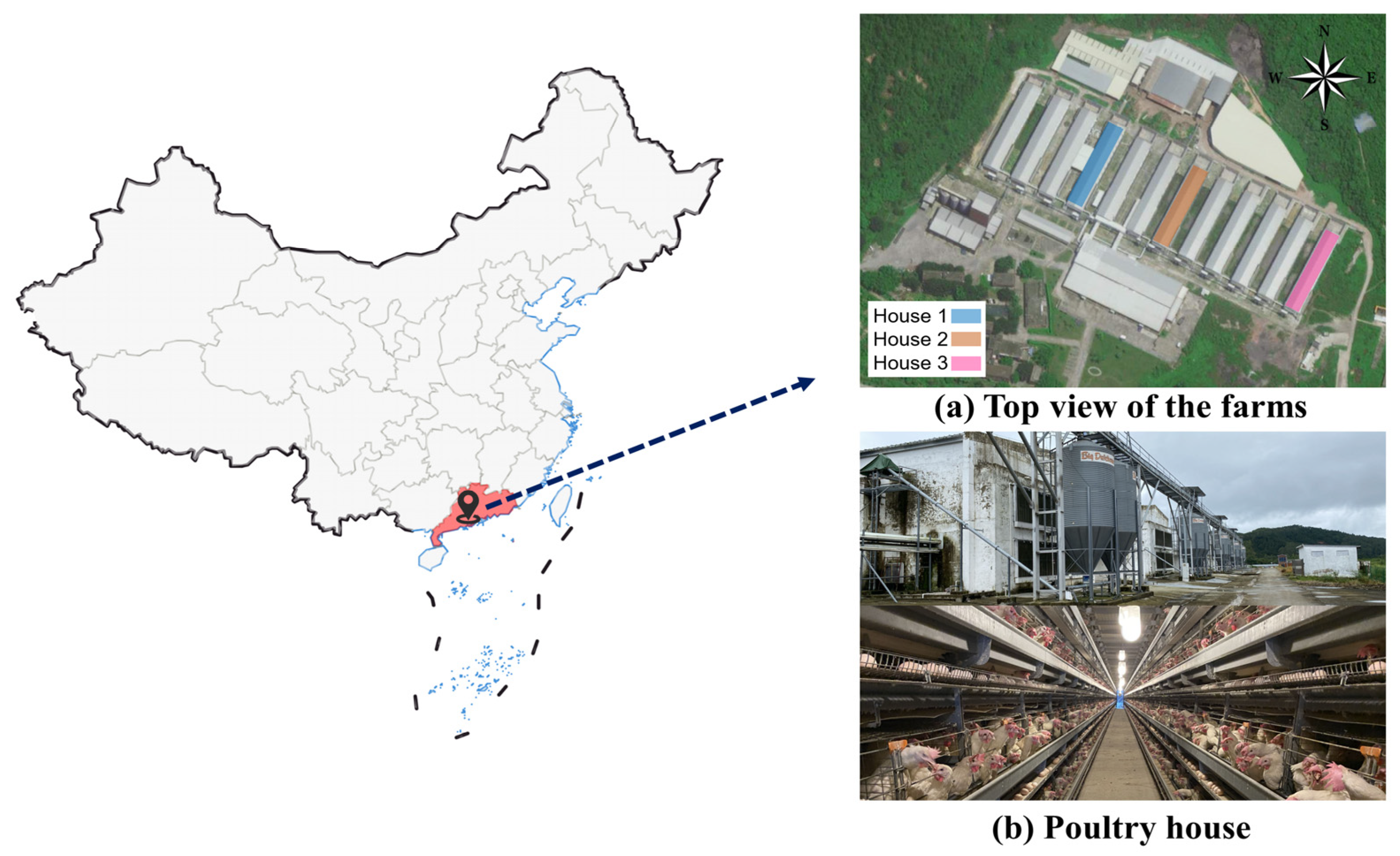 Animals 14 02554 g001 Animals 14 02554 g001