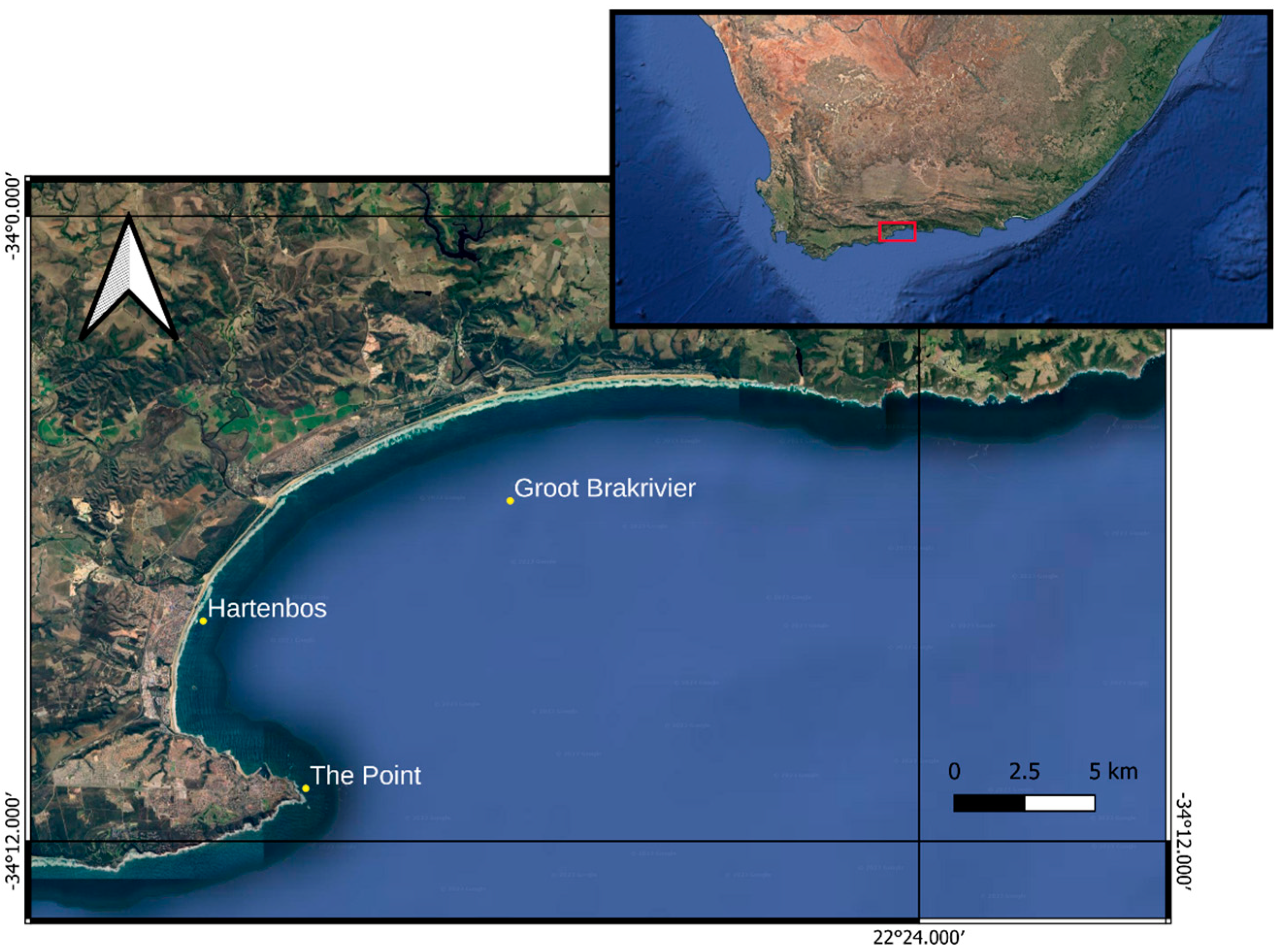 Animals 14 02559 g001