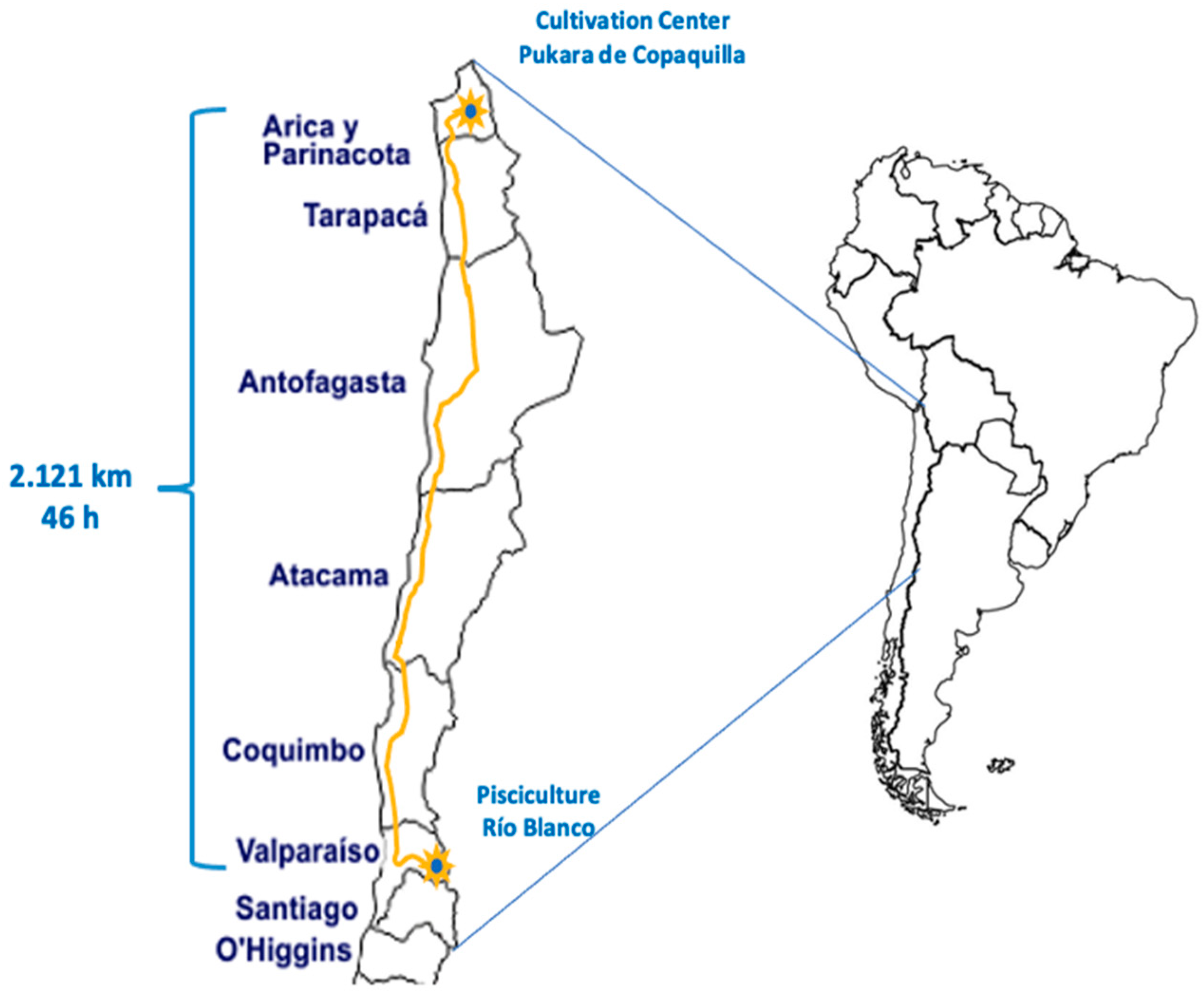 Animals 14 02567 g003