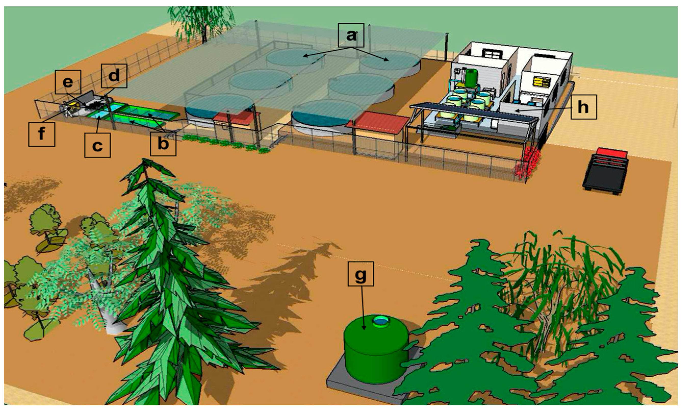 Animals 14 02567 g004