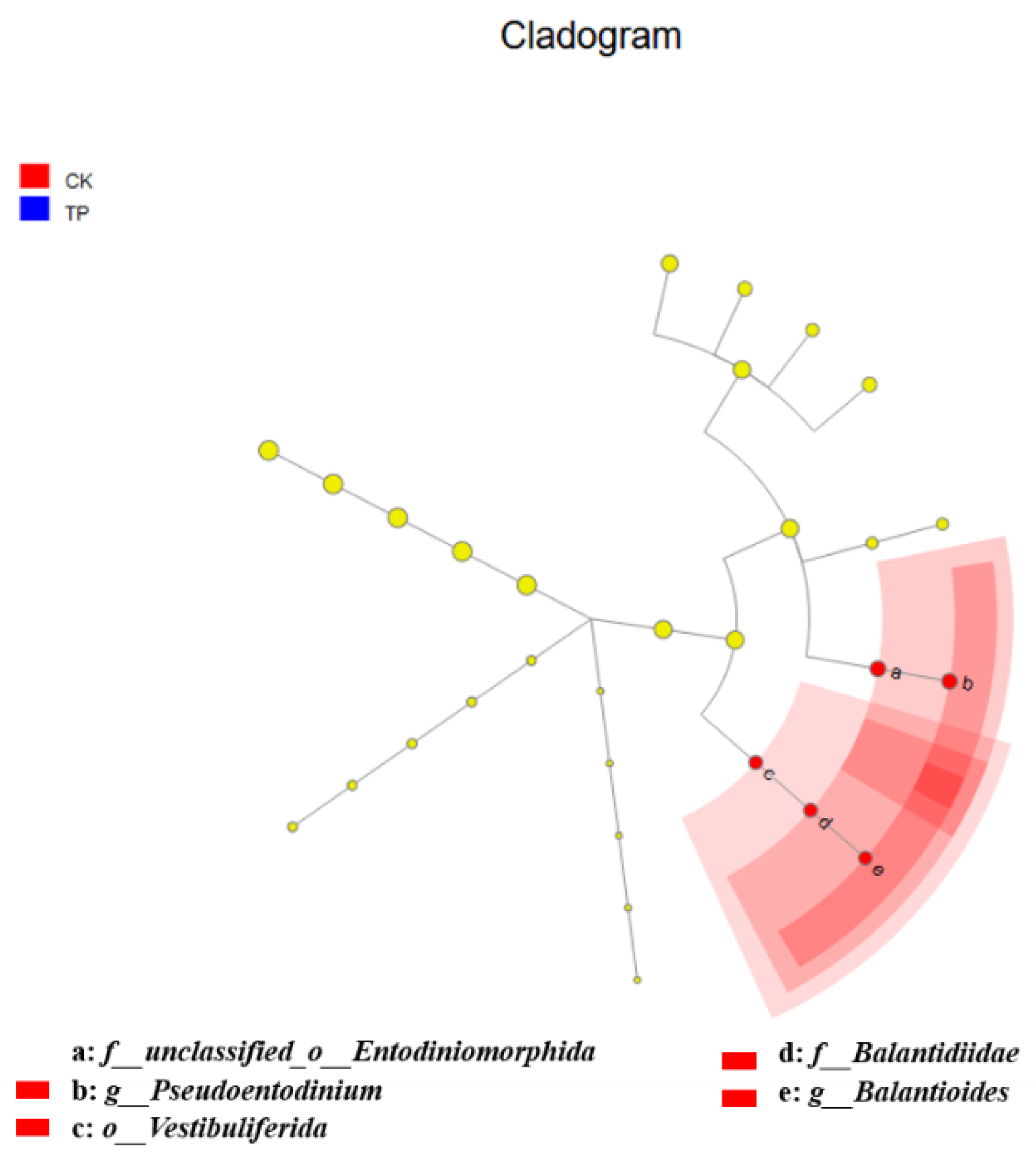 Animals 14 02569 g004