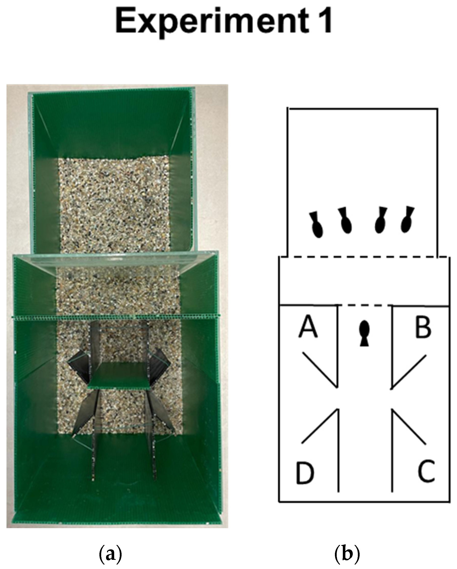 Animals 14 02572 g001