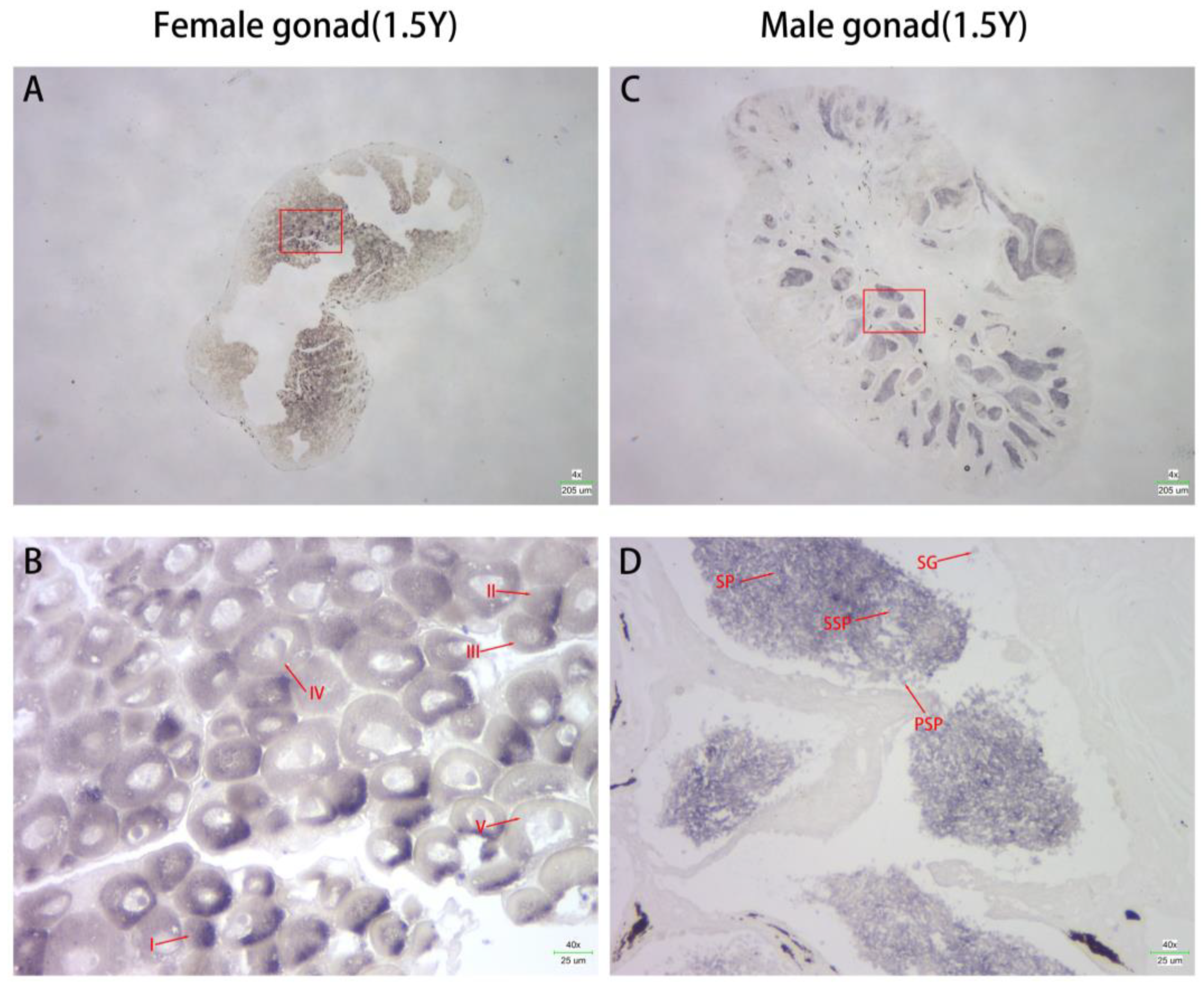 Animals 14 02579 g003