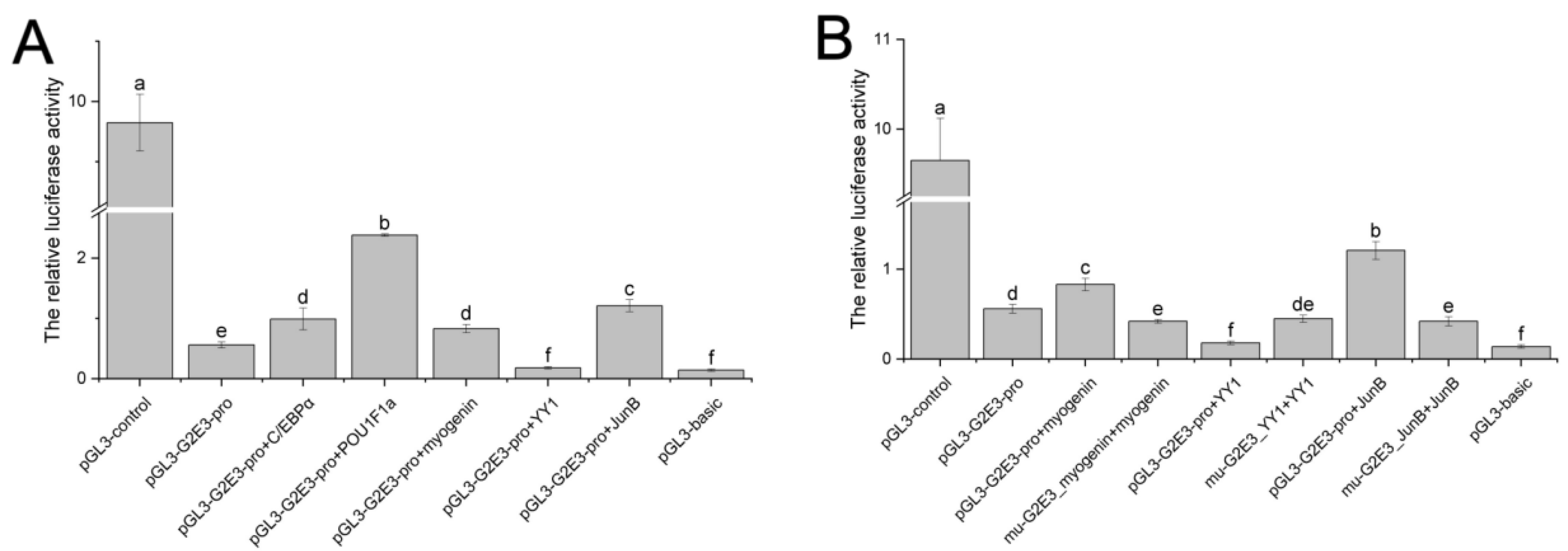 Animals 14 02579 g006