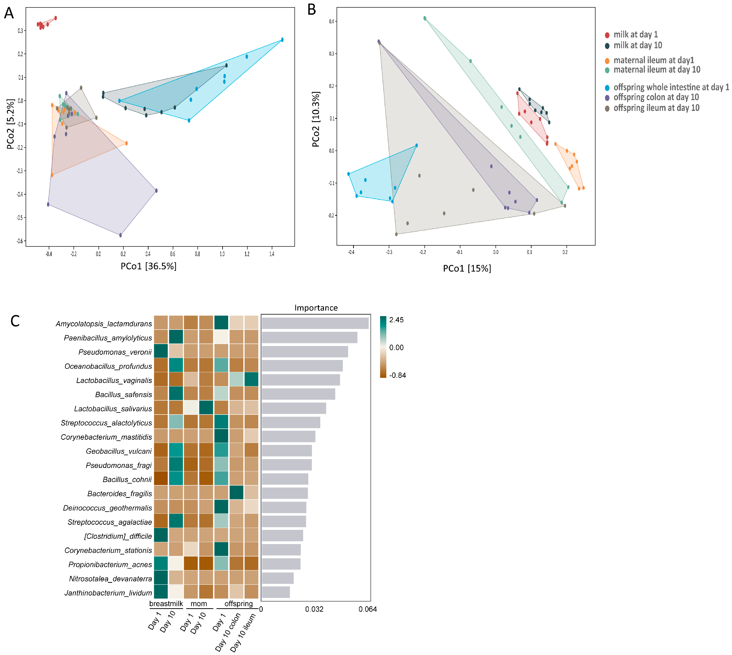 Animals 14 02582 g001