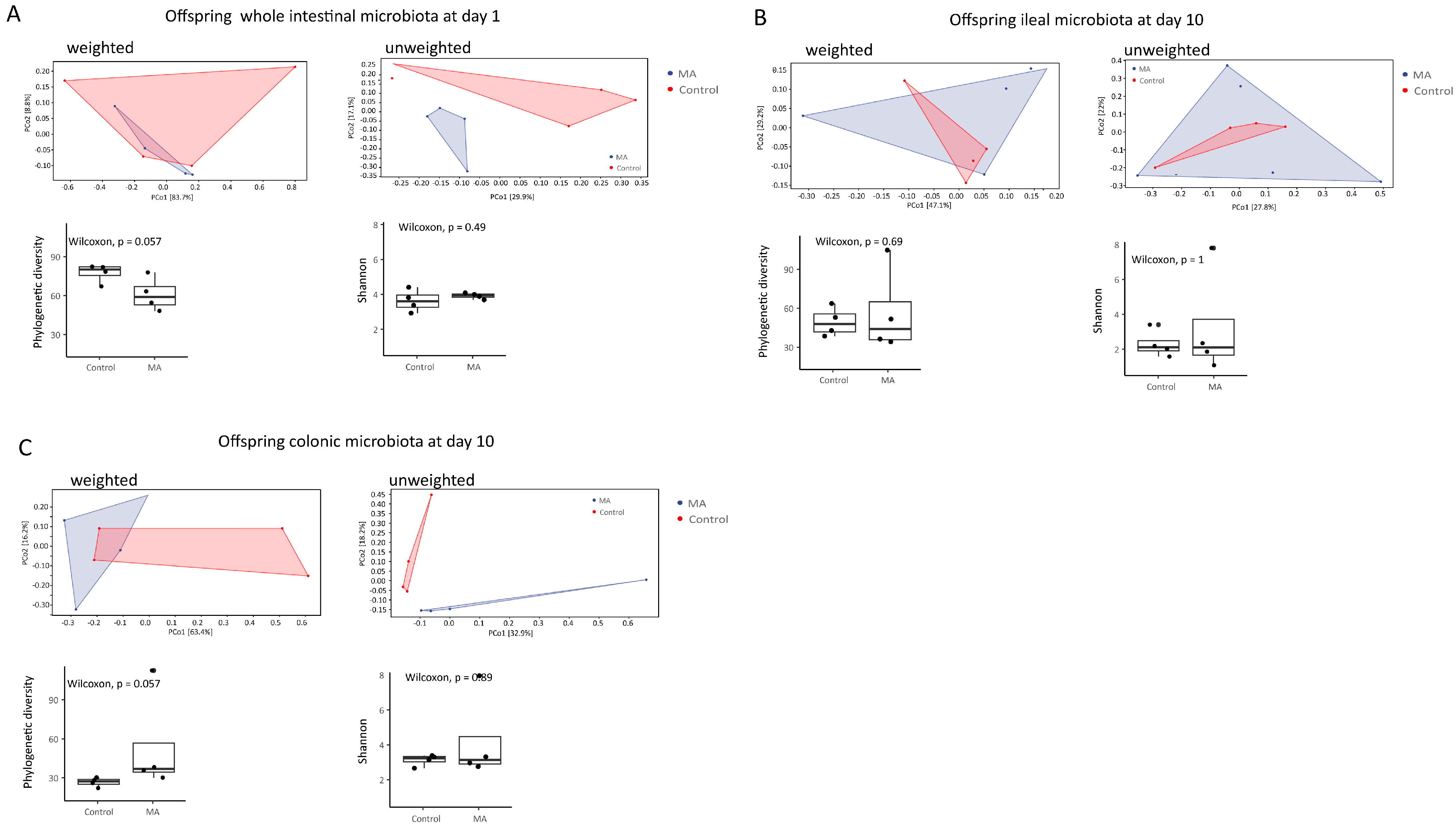 Animals 14 02582 g003