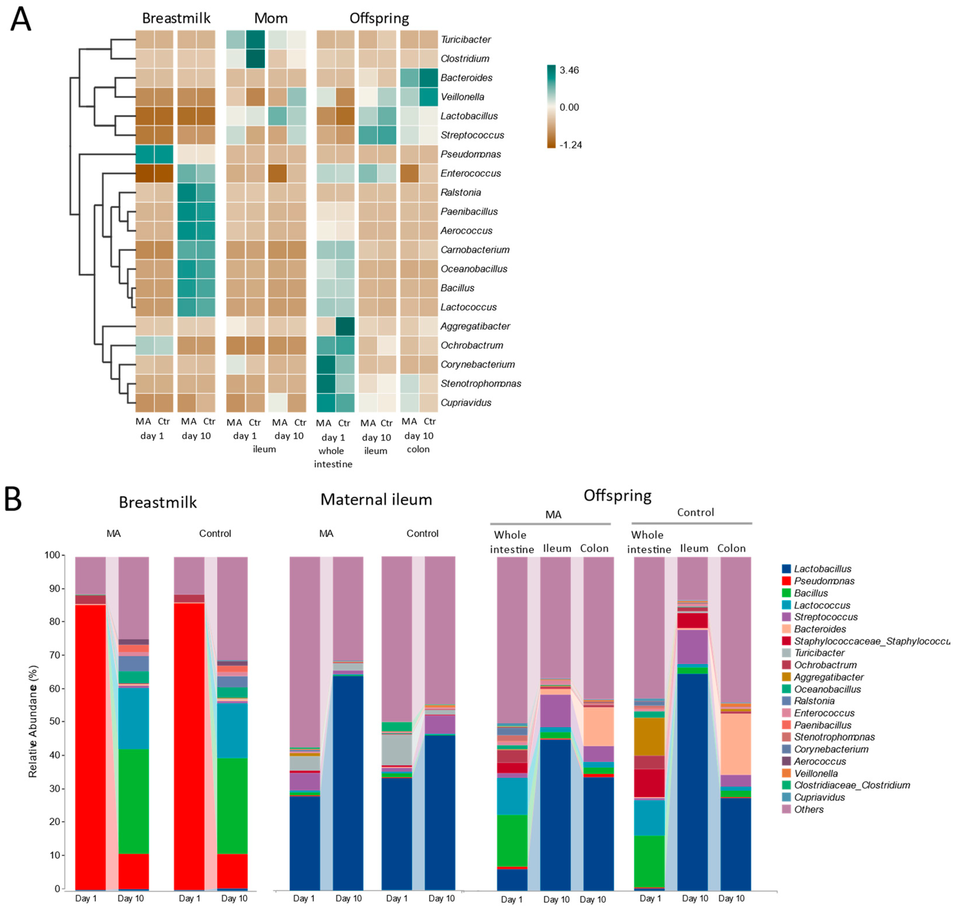 Animals 14 02582 g004