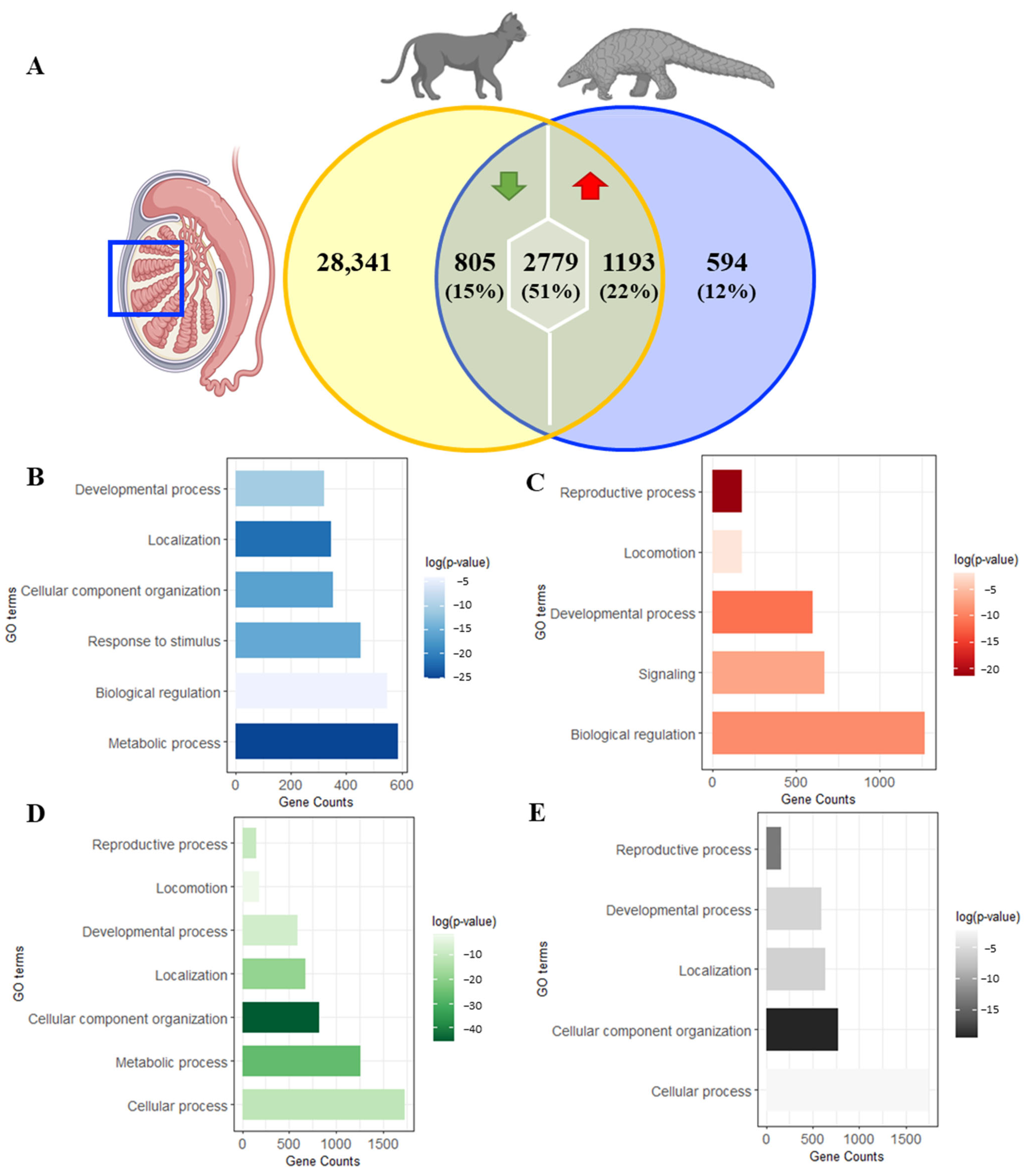 Animals 14 02592 g005